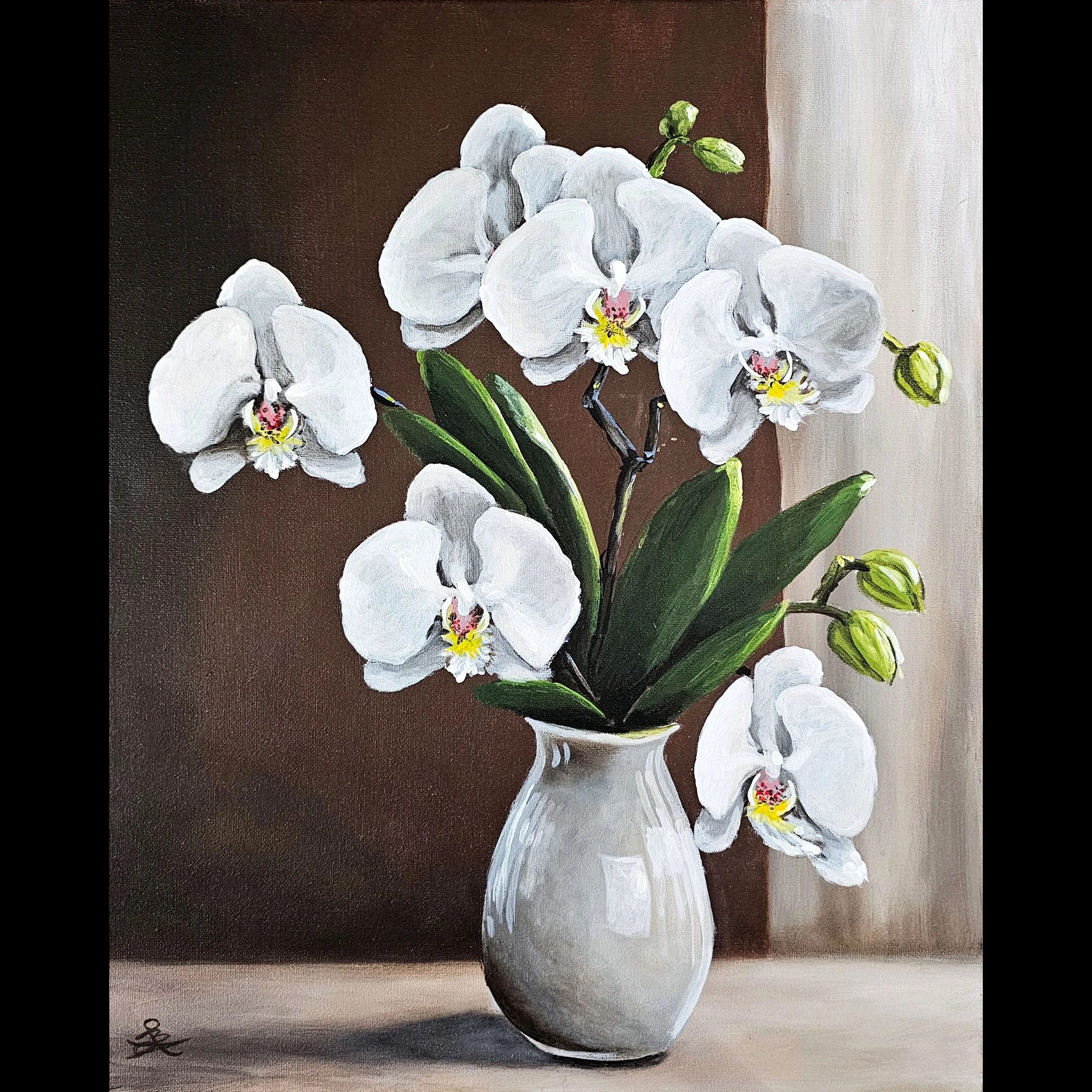 Orchids