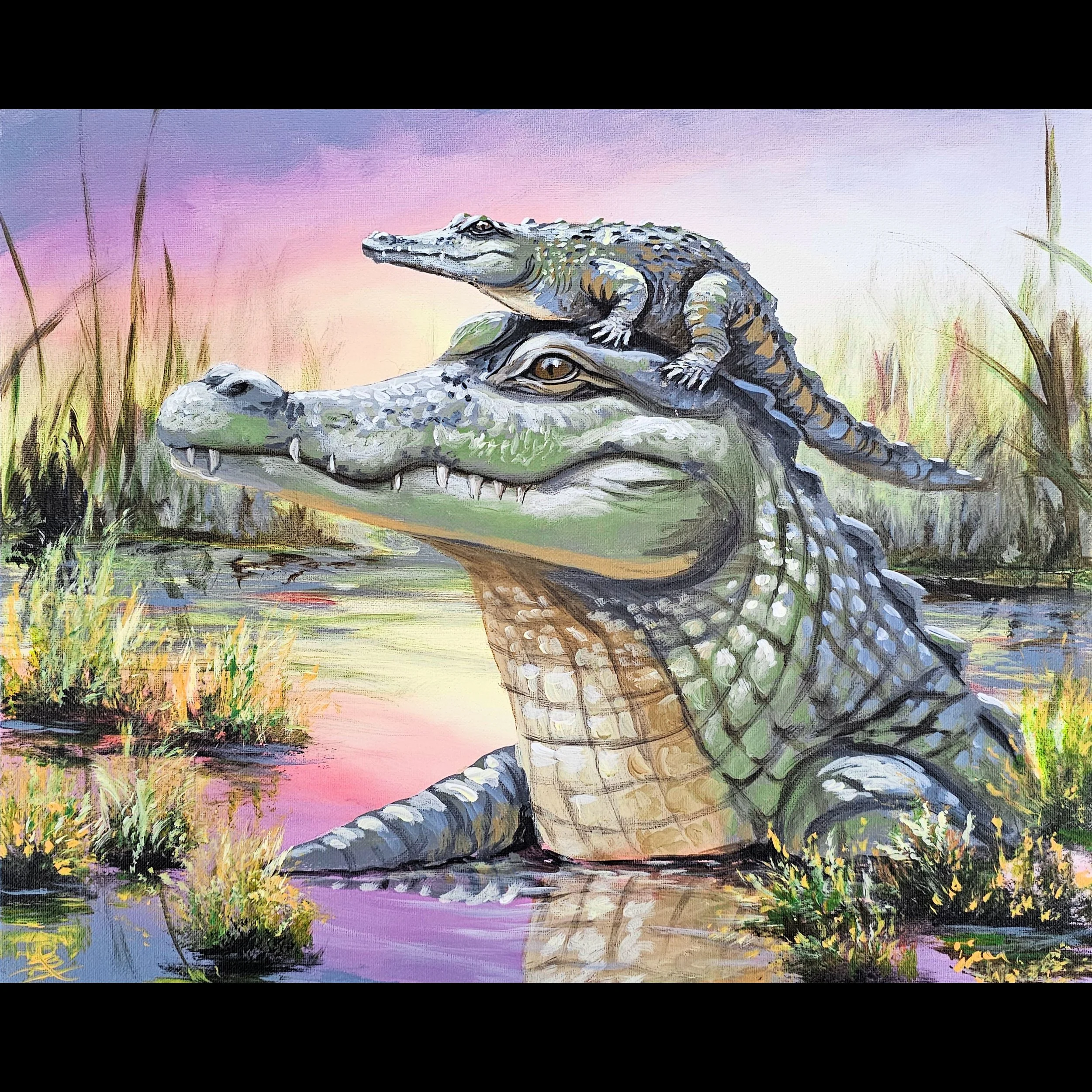 Croc-A-Bye Baby