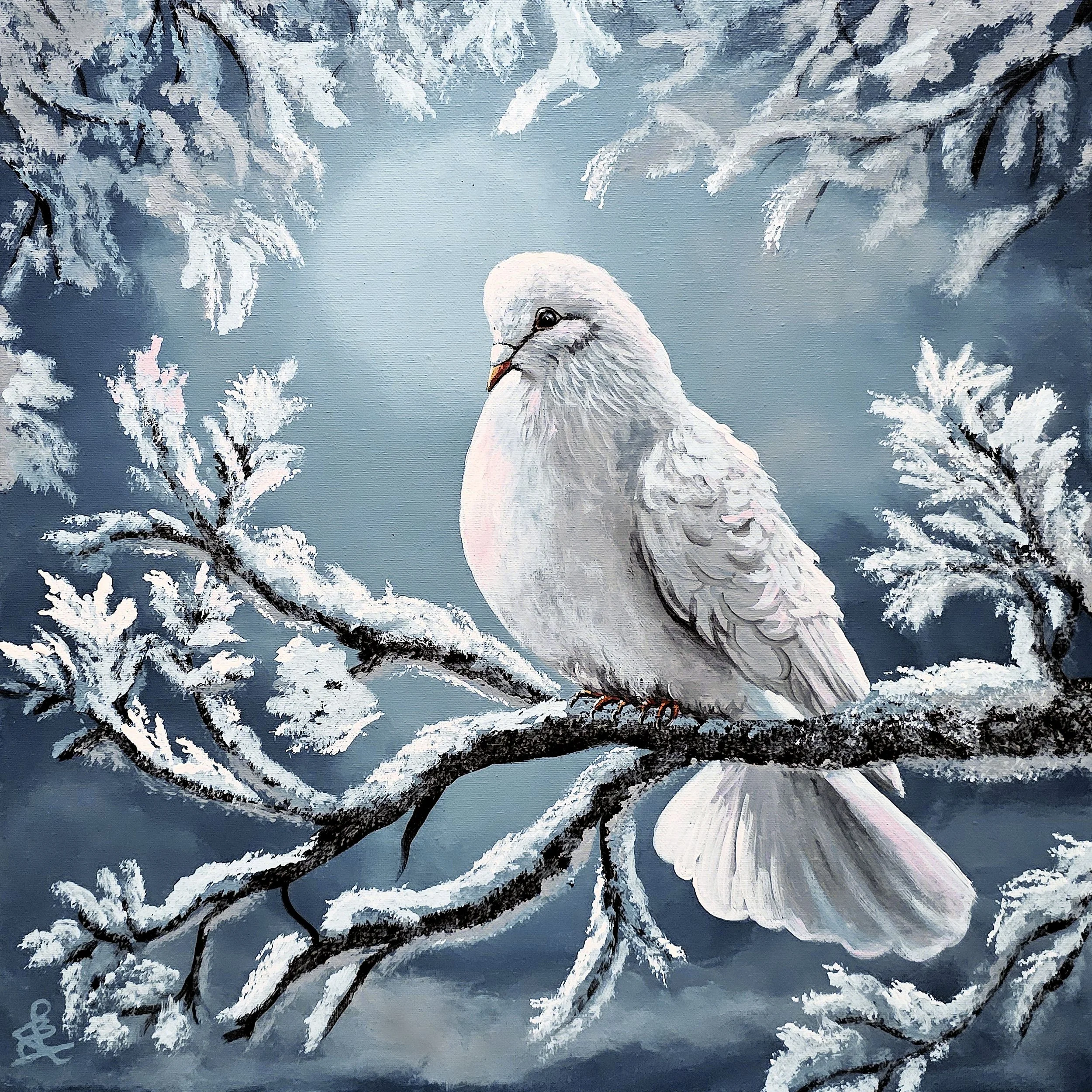 Winter Dove