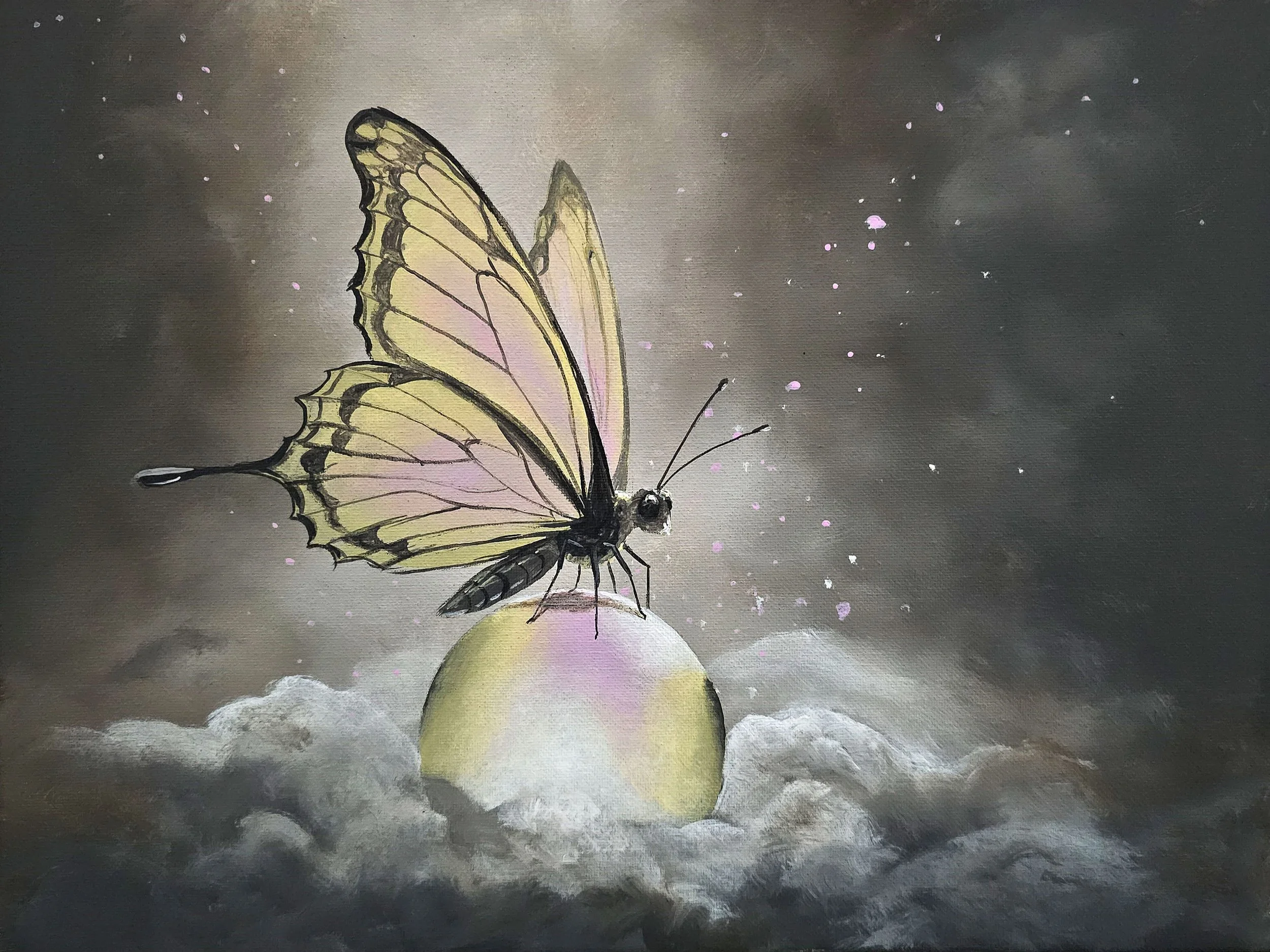 Butterfly Sphere
