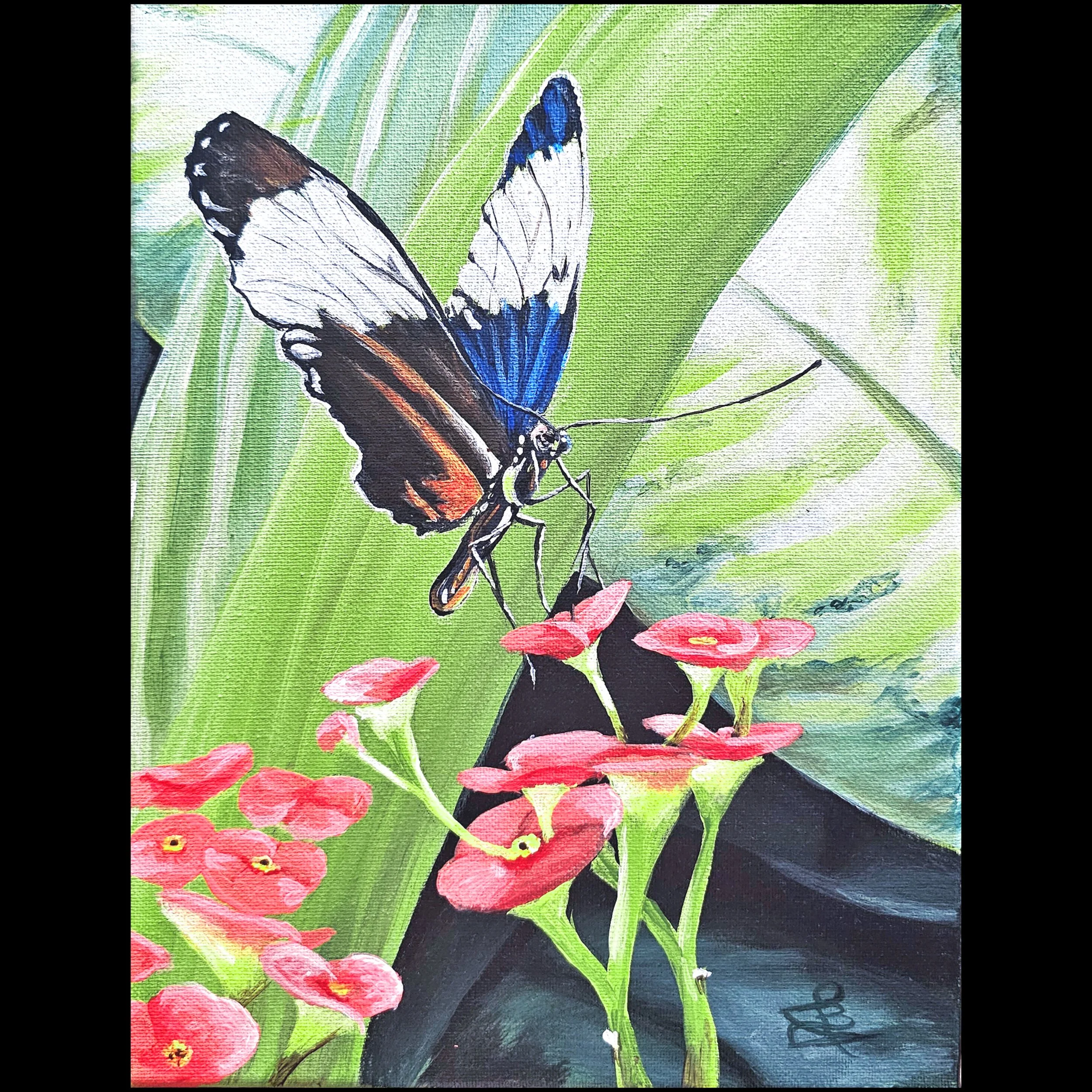 Beautiful Butterfly