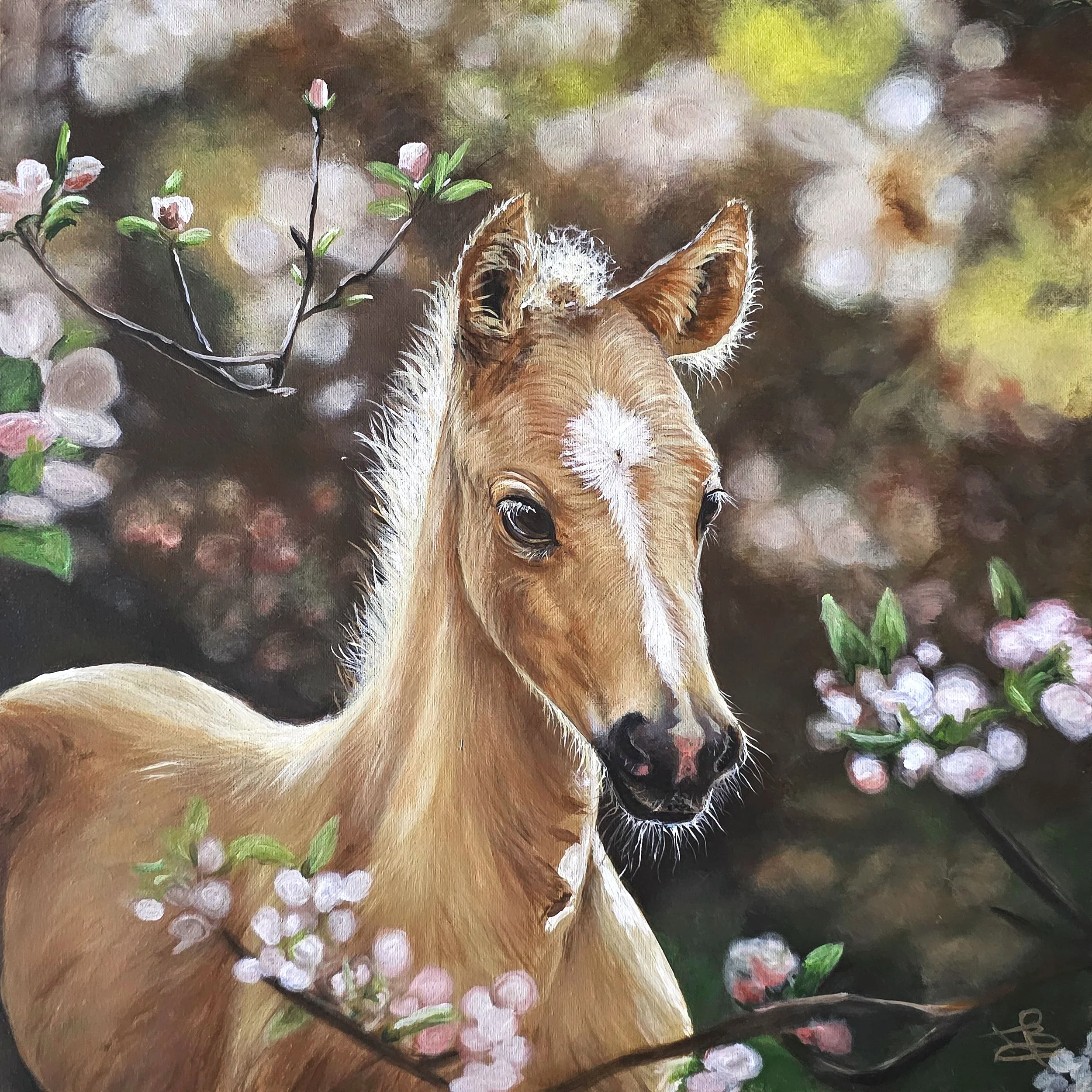 Baby Horse