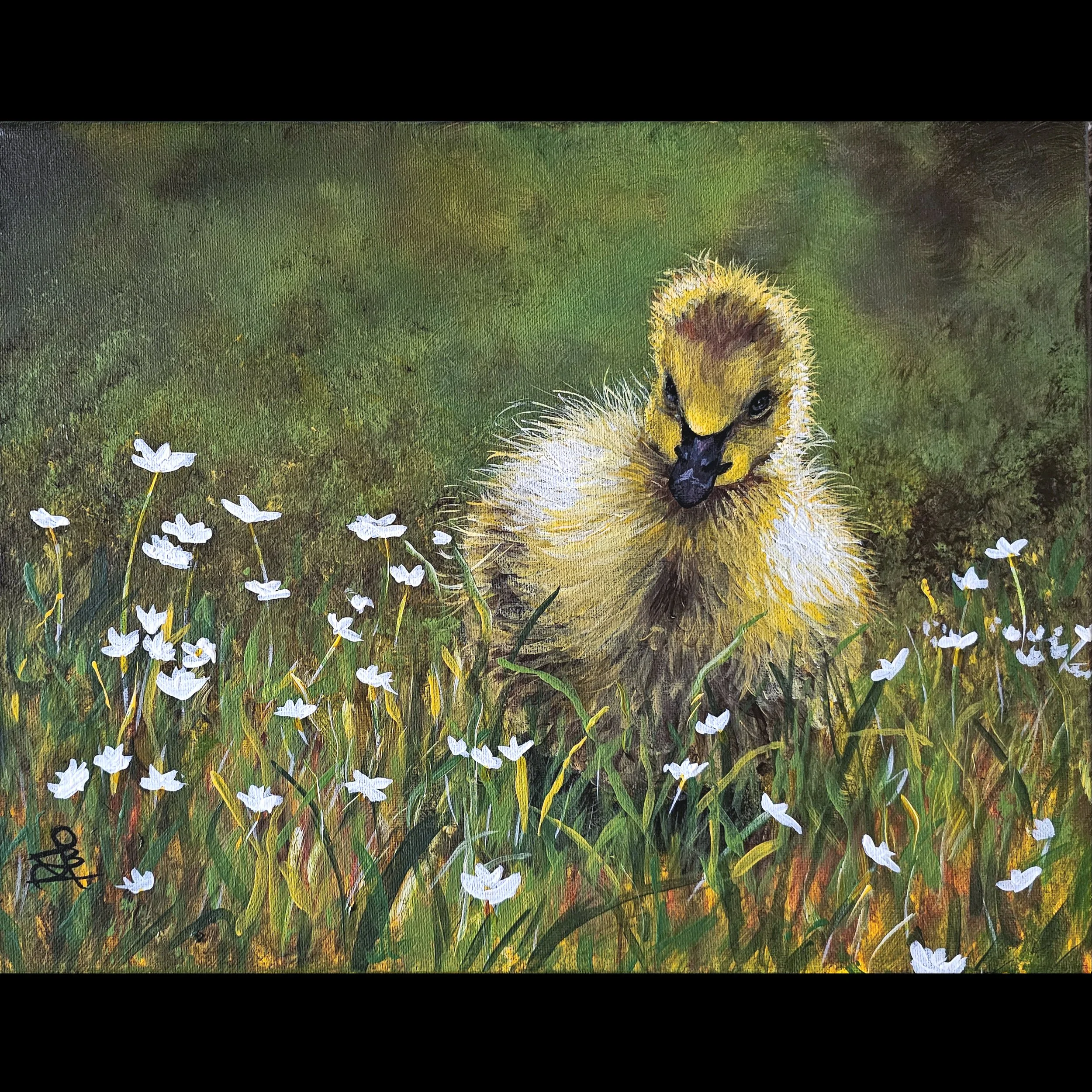 Wildflower Chick