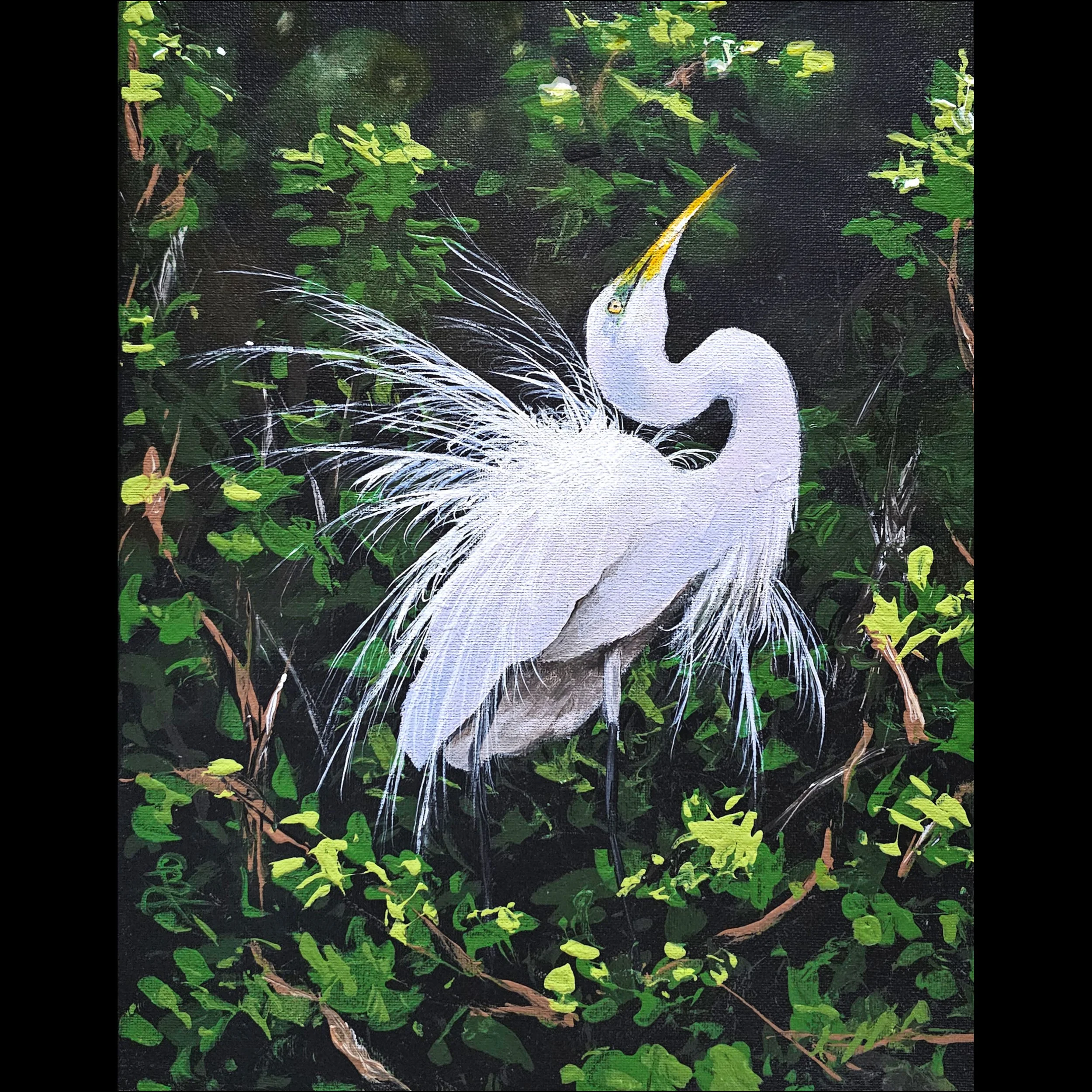 Easy Going Egret