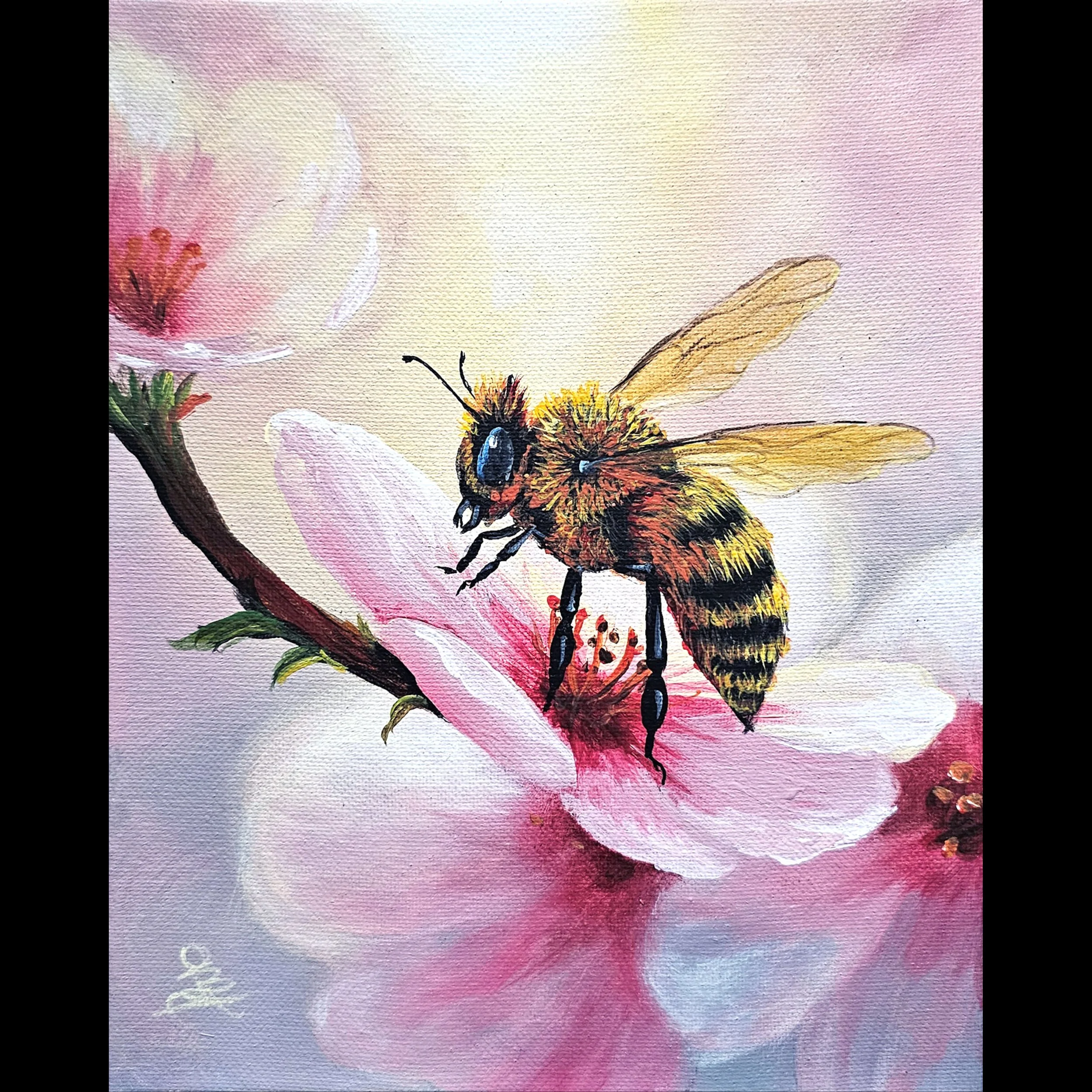 Cherry Blossom Bee
