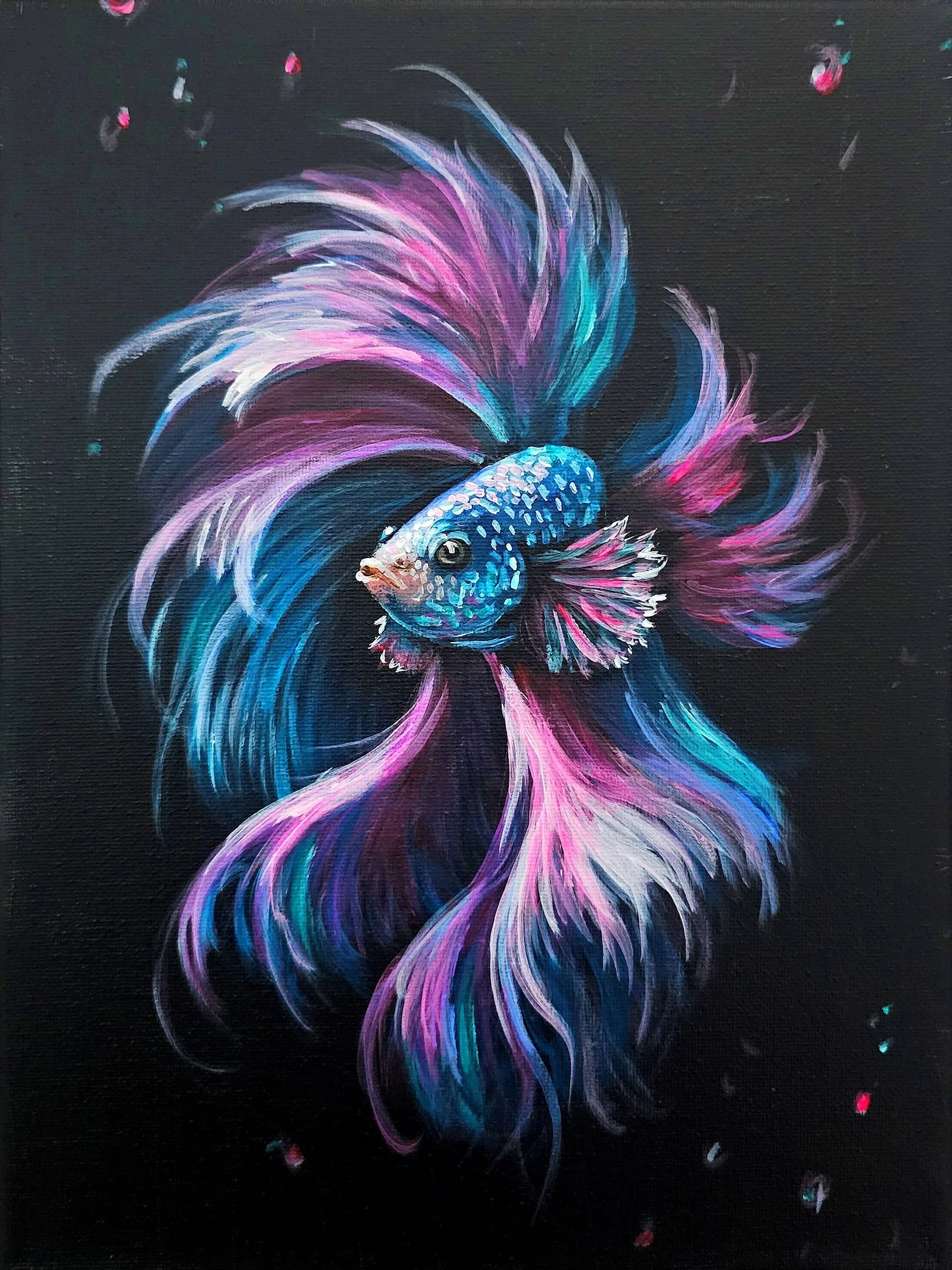Bold Betta