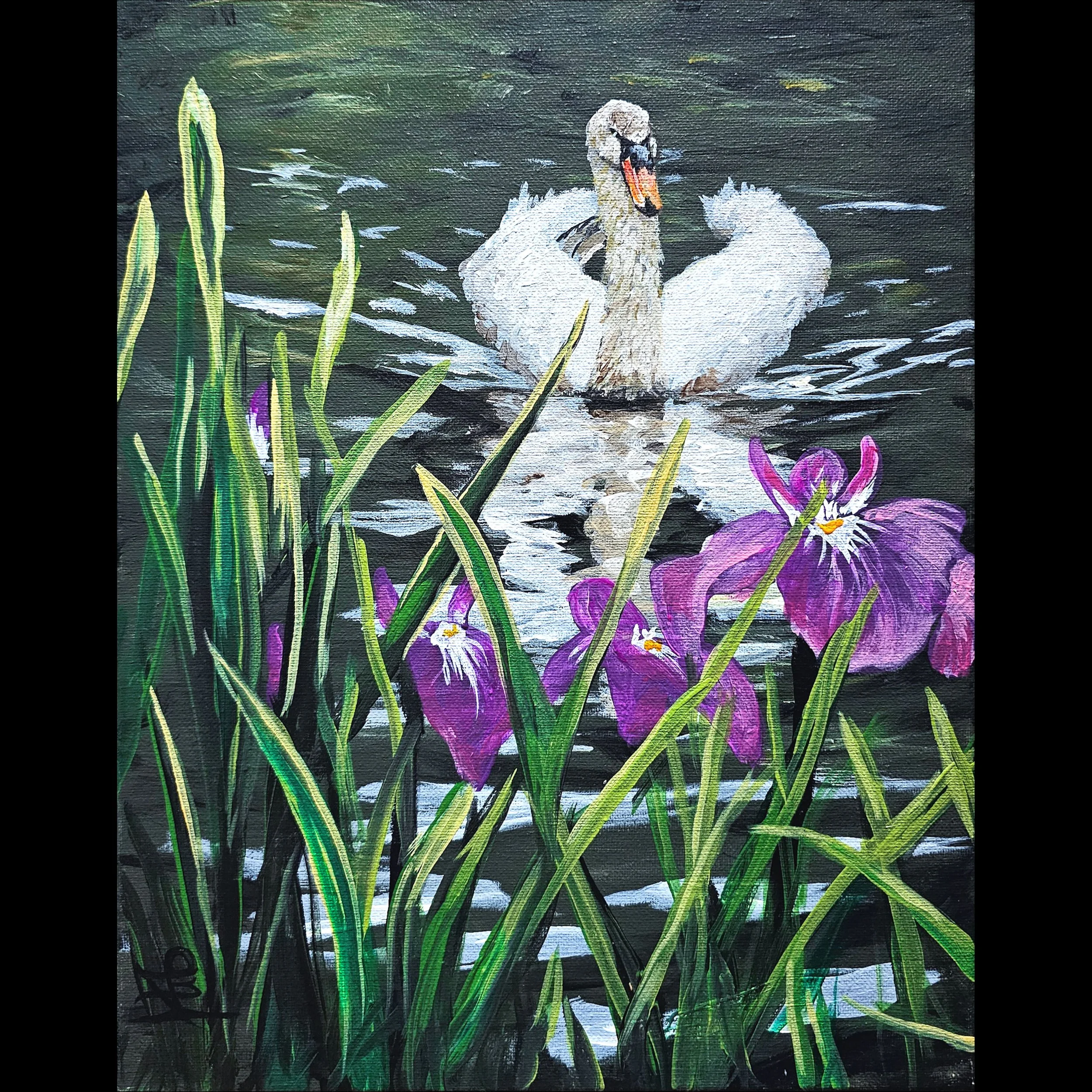 Iris Swan