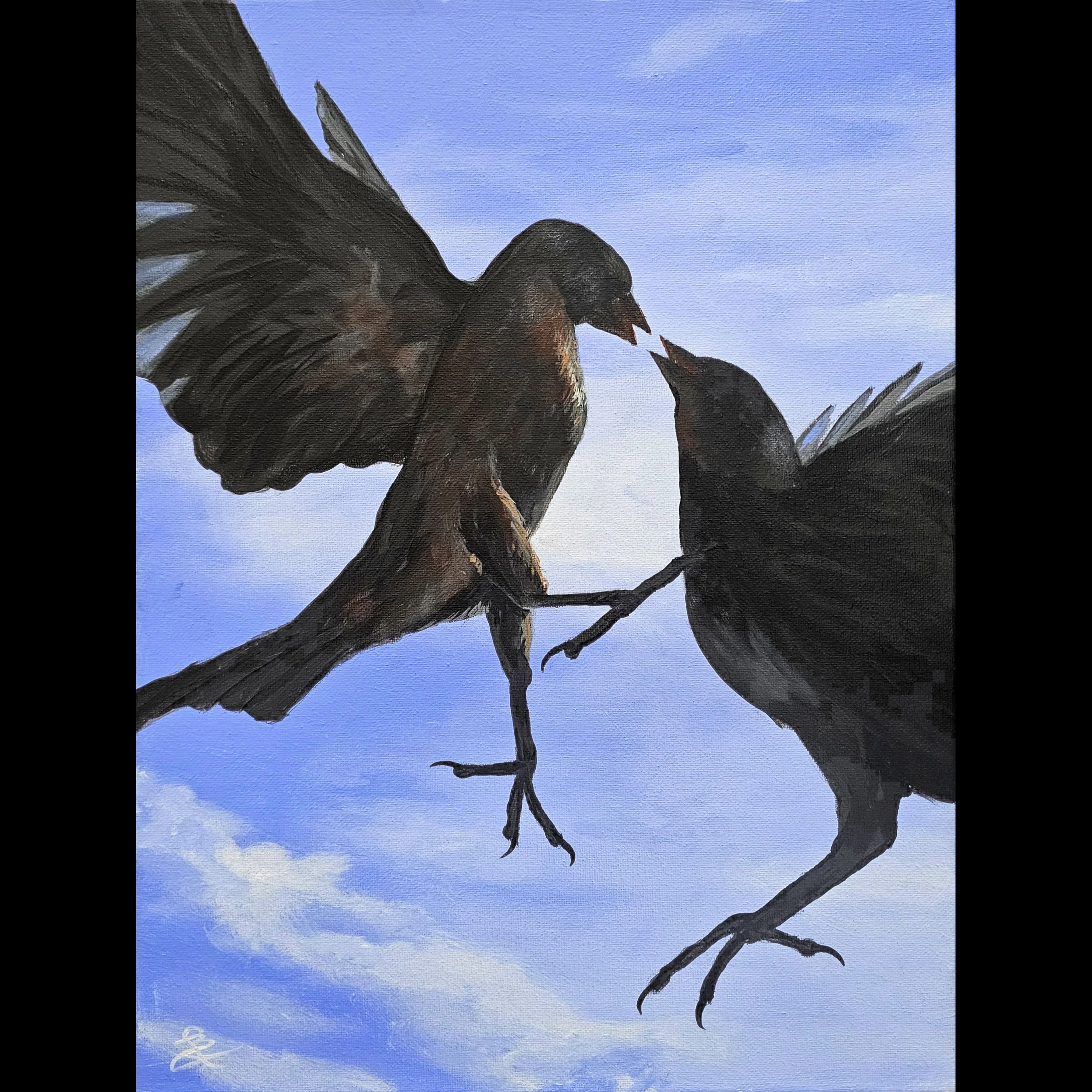 Playful Birds