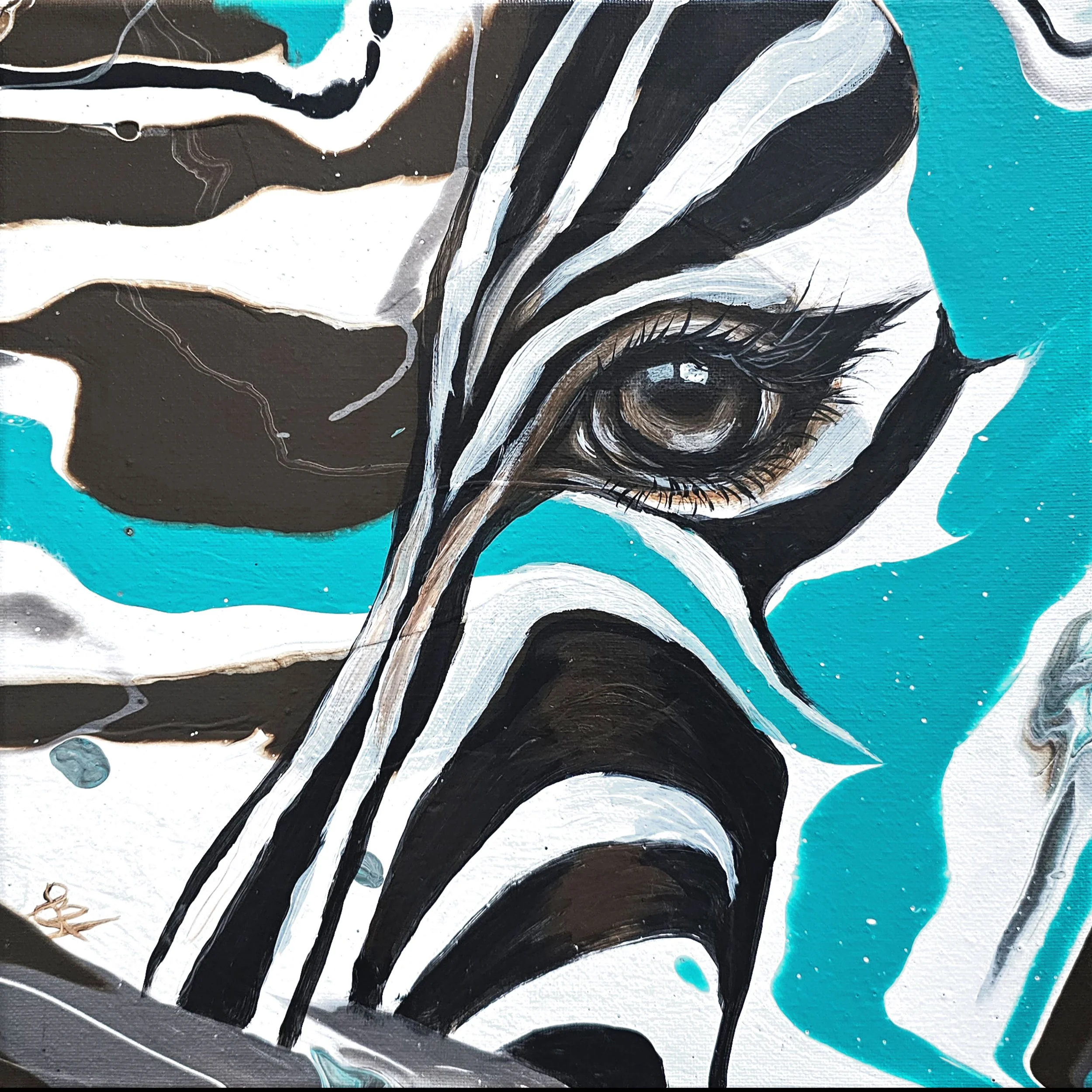 Zebra