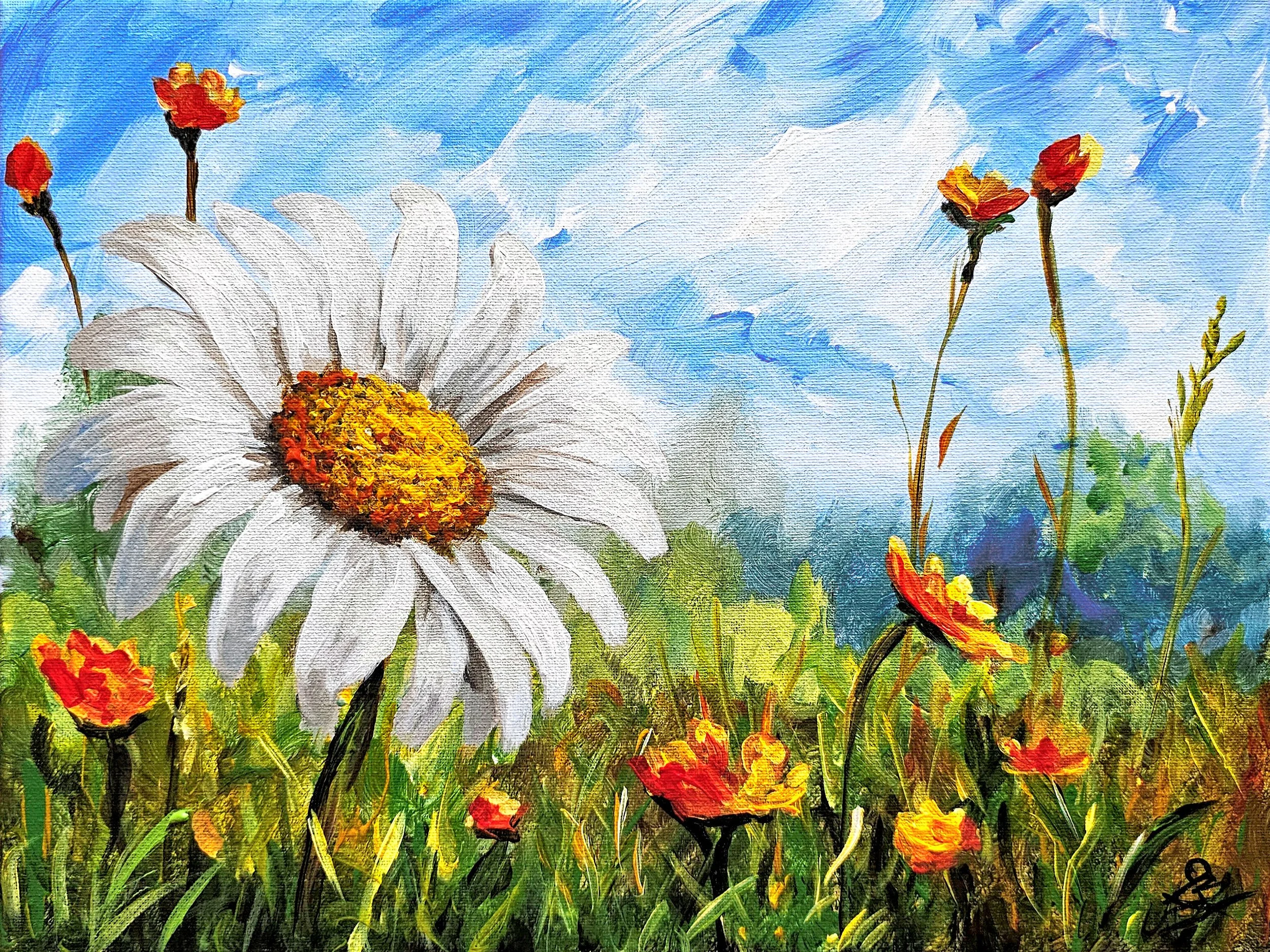 Solo Daisy