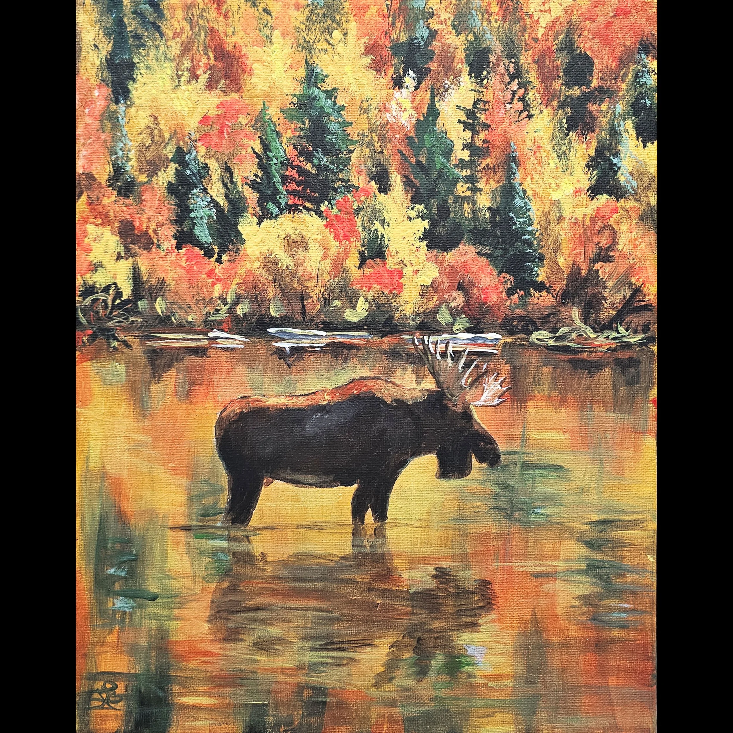 Autumn Moose