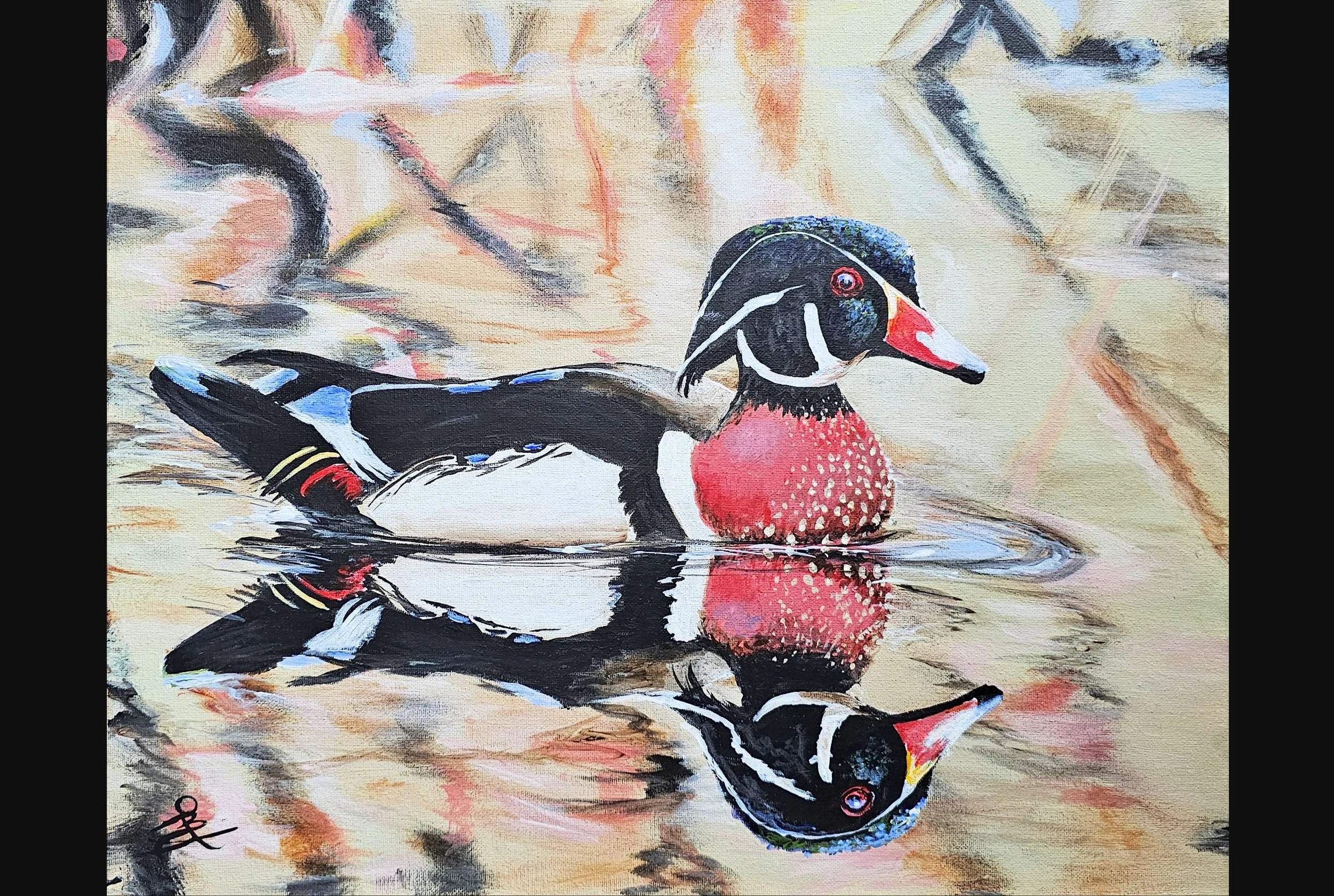Duck Reflection