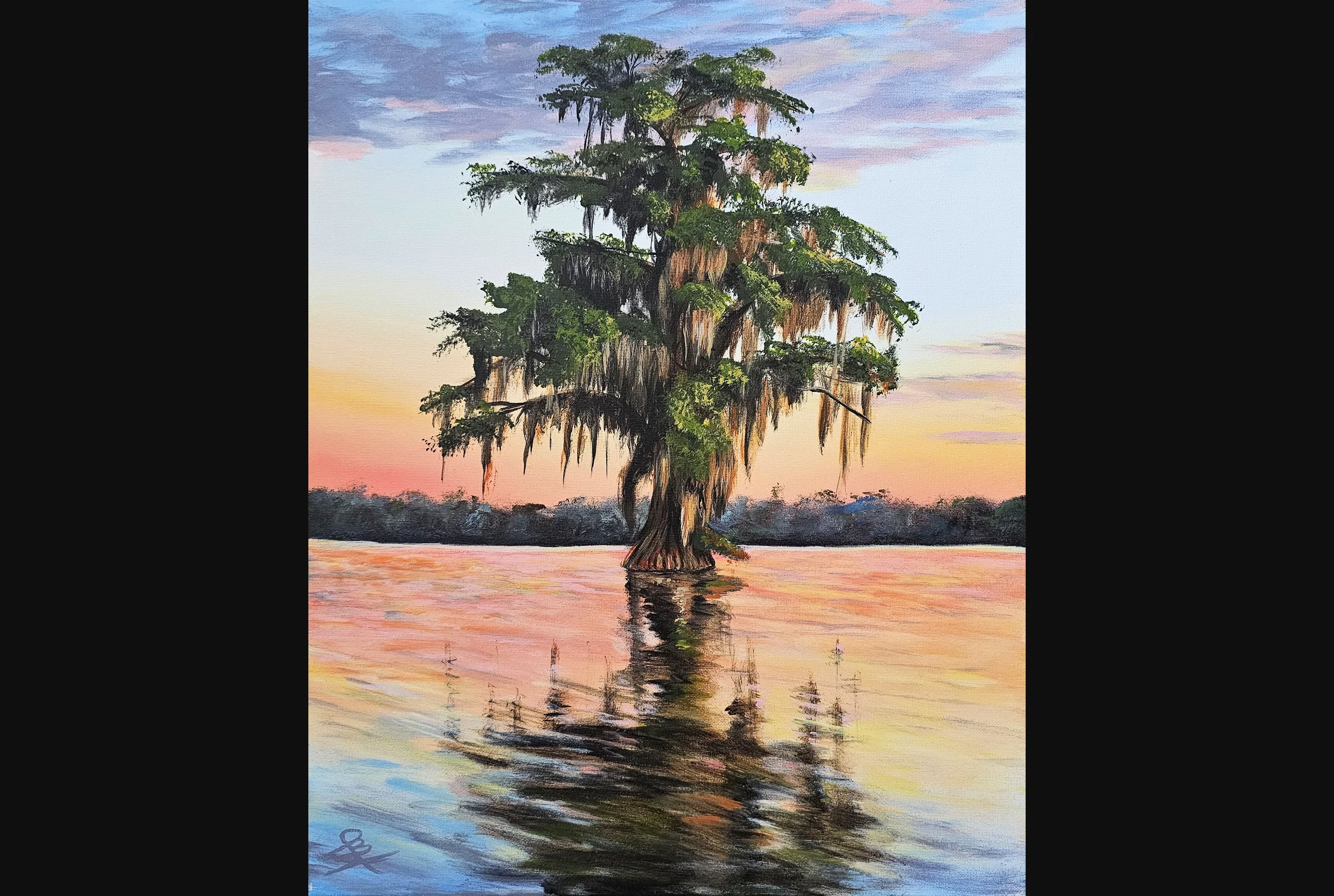 Majestic Cypress