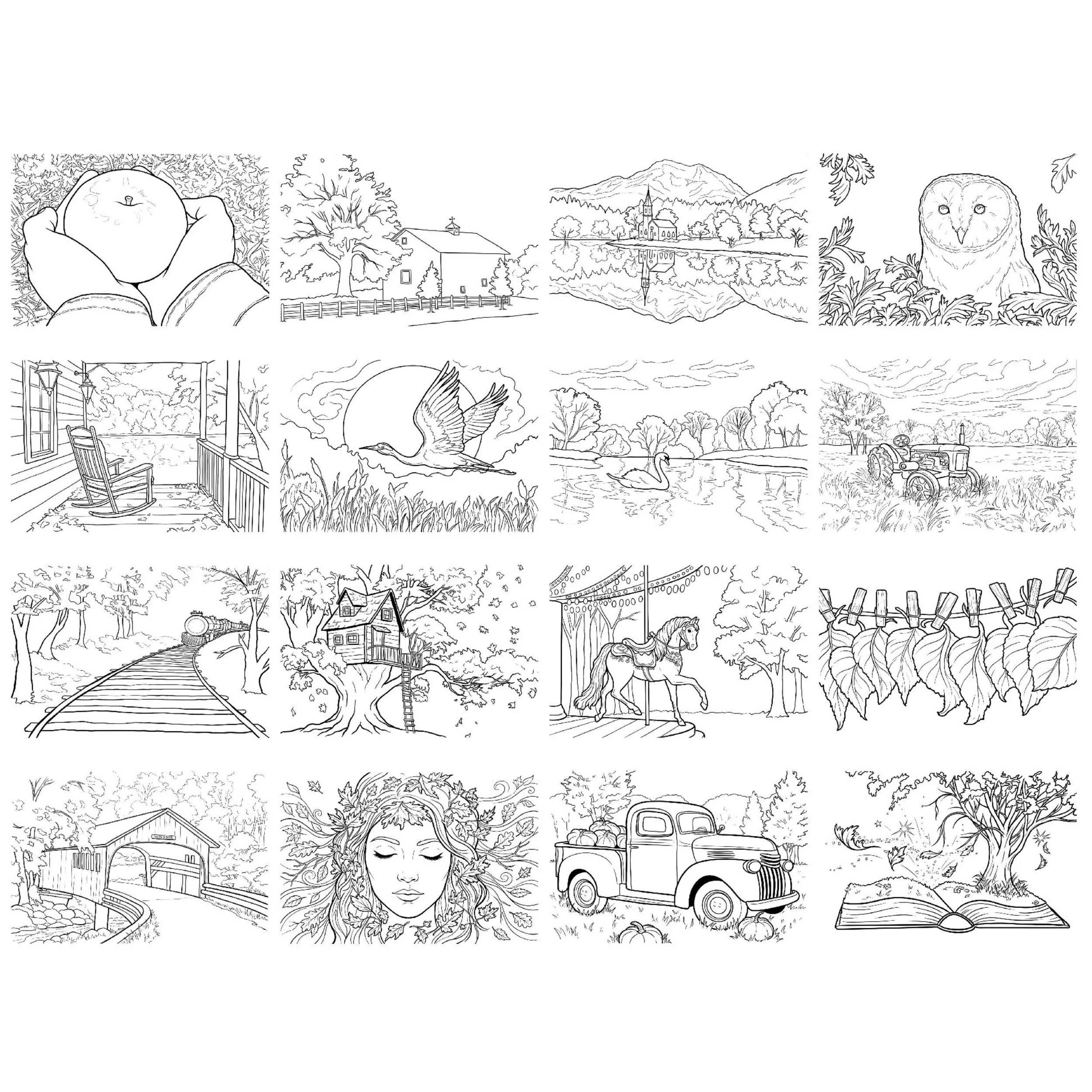 pages-landscape.jpg
