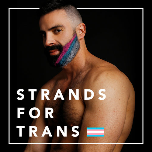 Strands for Trans - Partnership — Awards and Stuff Strands for Trans - Partnership — Awards and Stuff