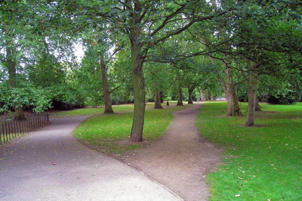 Desire paths all over campus