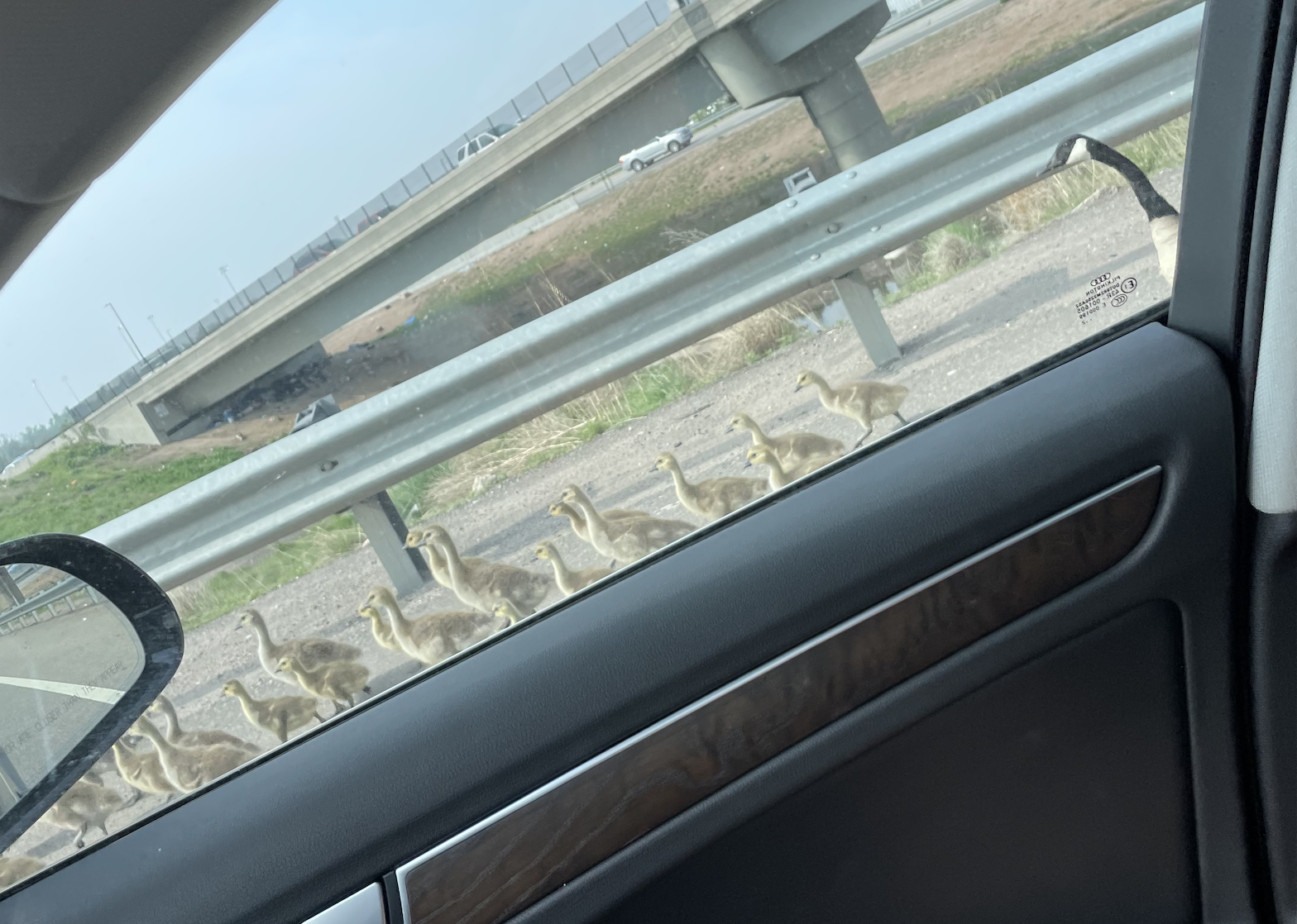 A sky like back home