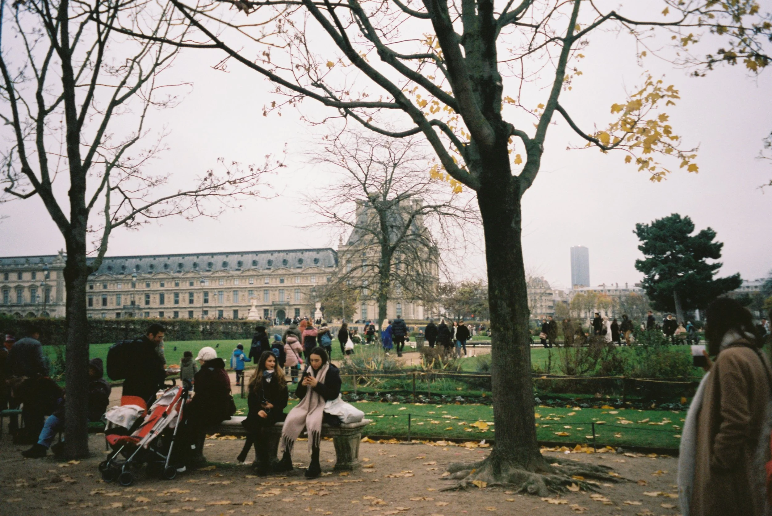 Mycelial networks --> information networks!