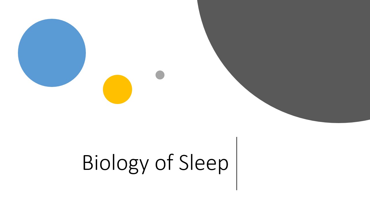 Slide5.jpg