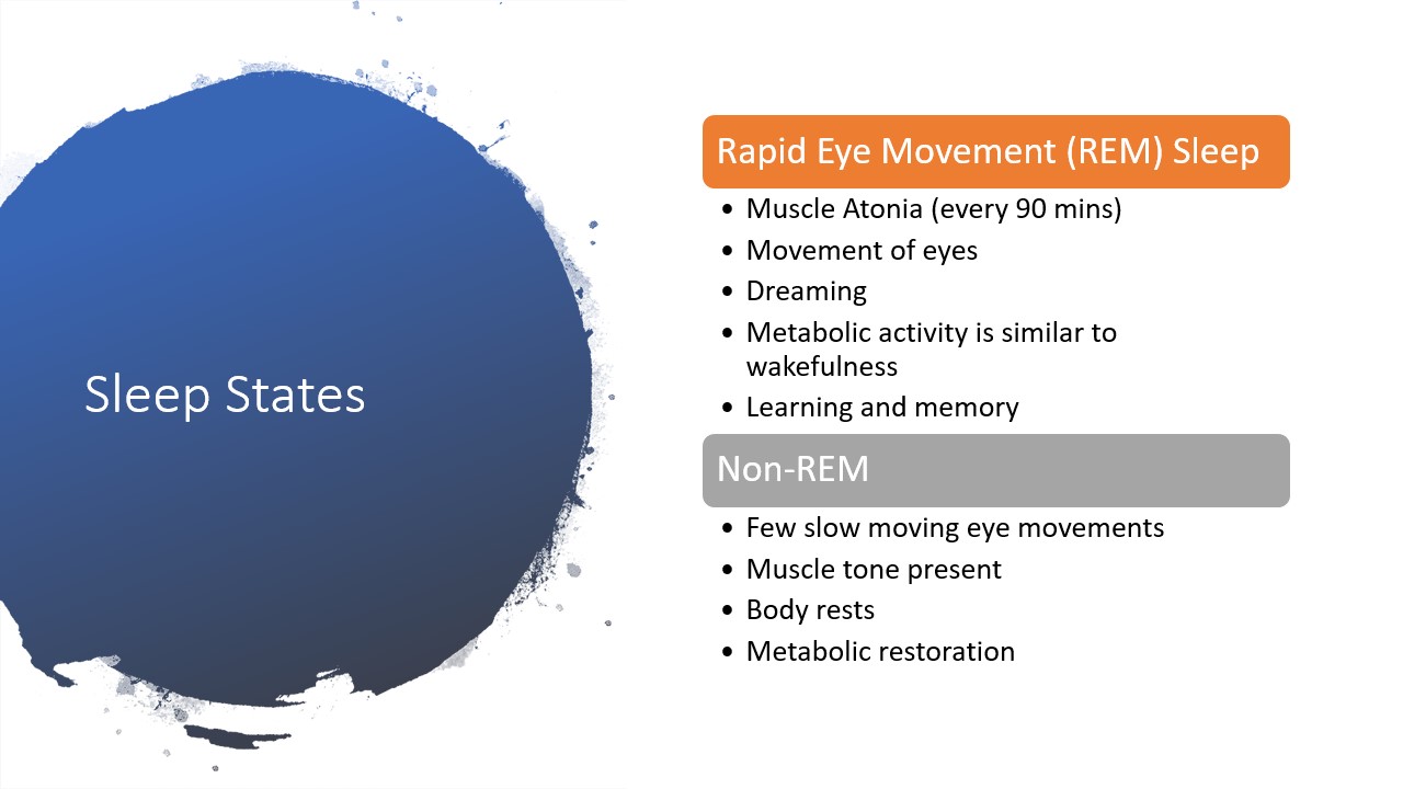 Slide7.jpg