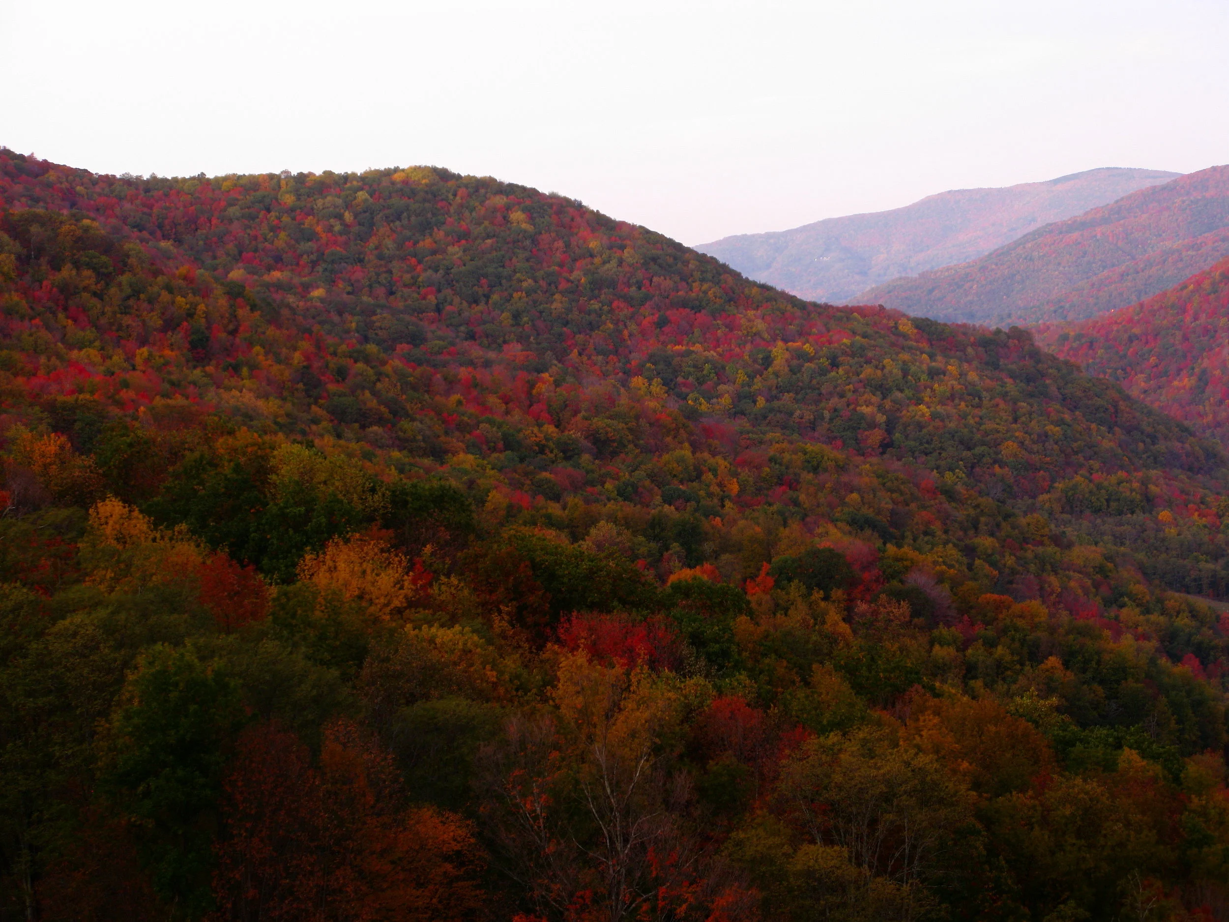Fall-mountains_-_West_Virginia_-_ForestWander.jpg