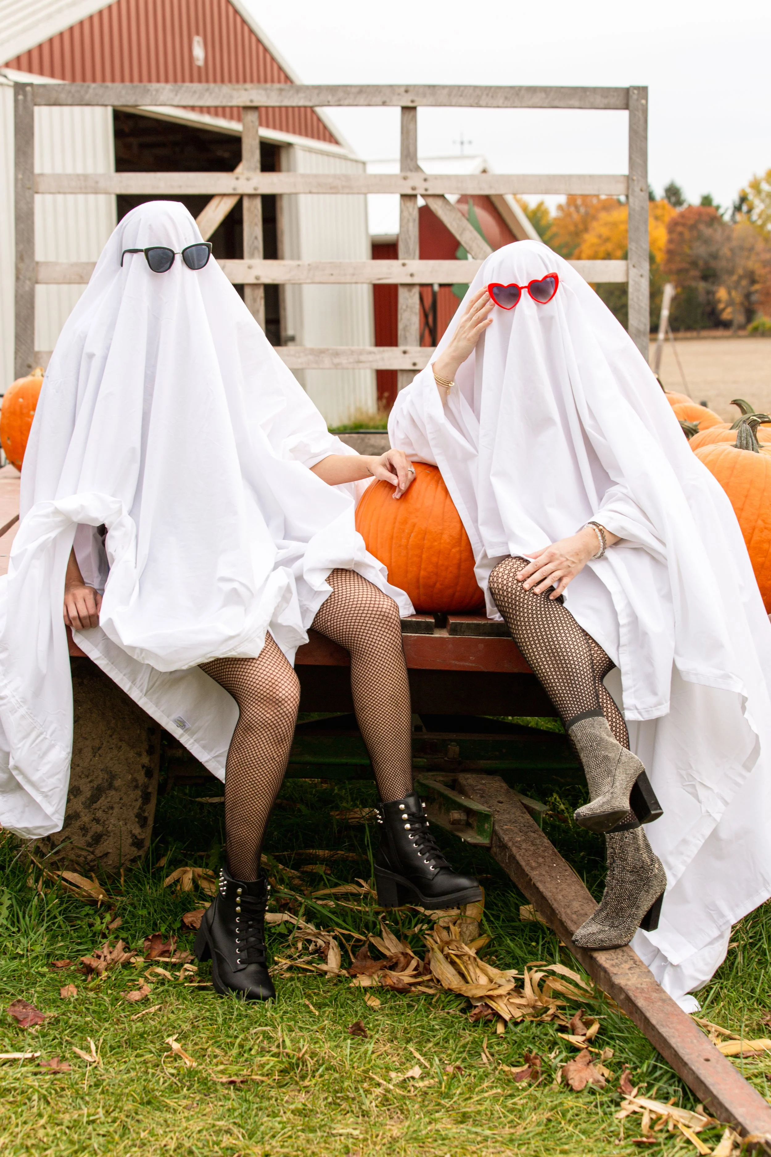 Q&A Halloween-1.jpg