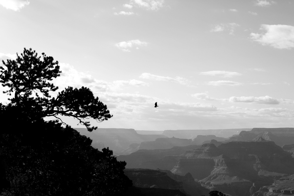  Grand Canyon 