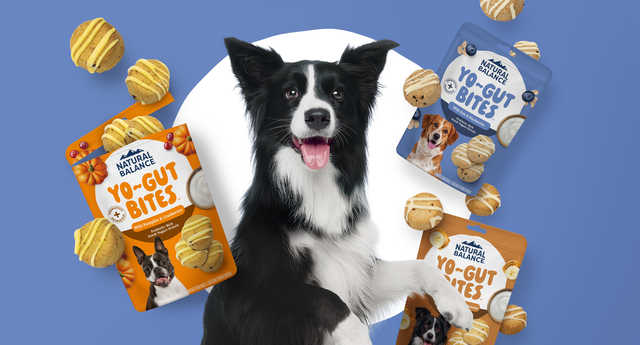 Dog marketing Natural Balance Yogut Bites