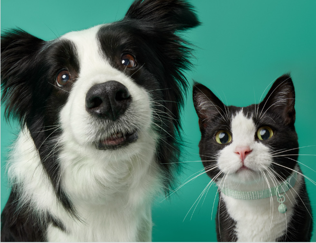 Screenshot 2026-01-17 at 2.09.53 PM.png