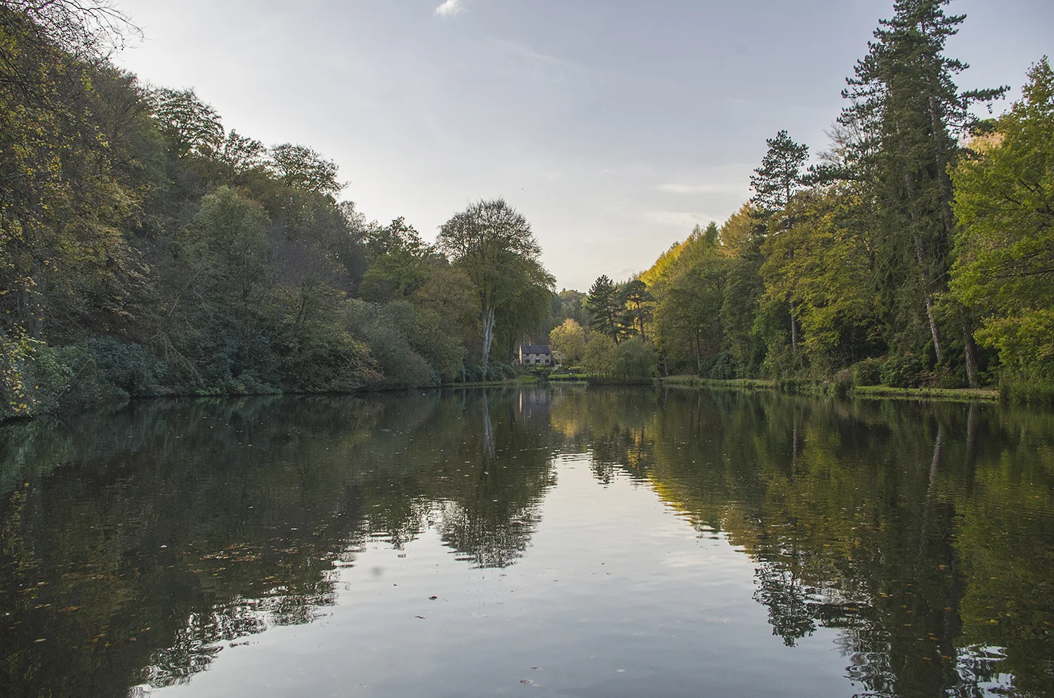 Dimmingsdale, Churnet Valley, Staffordshire