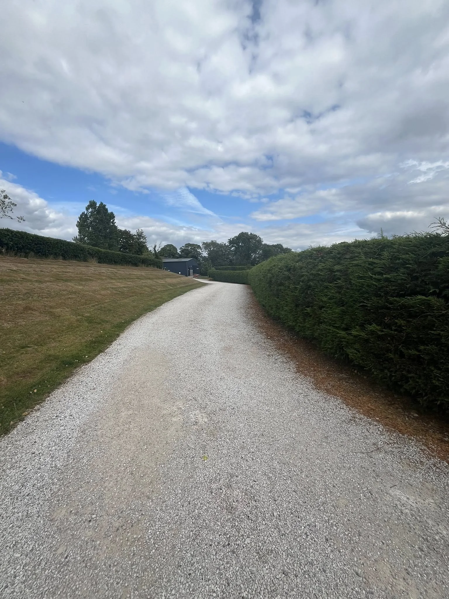 drive way.jpg