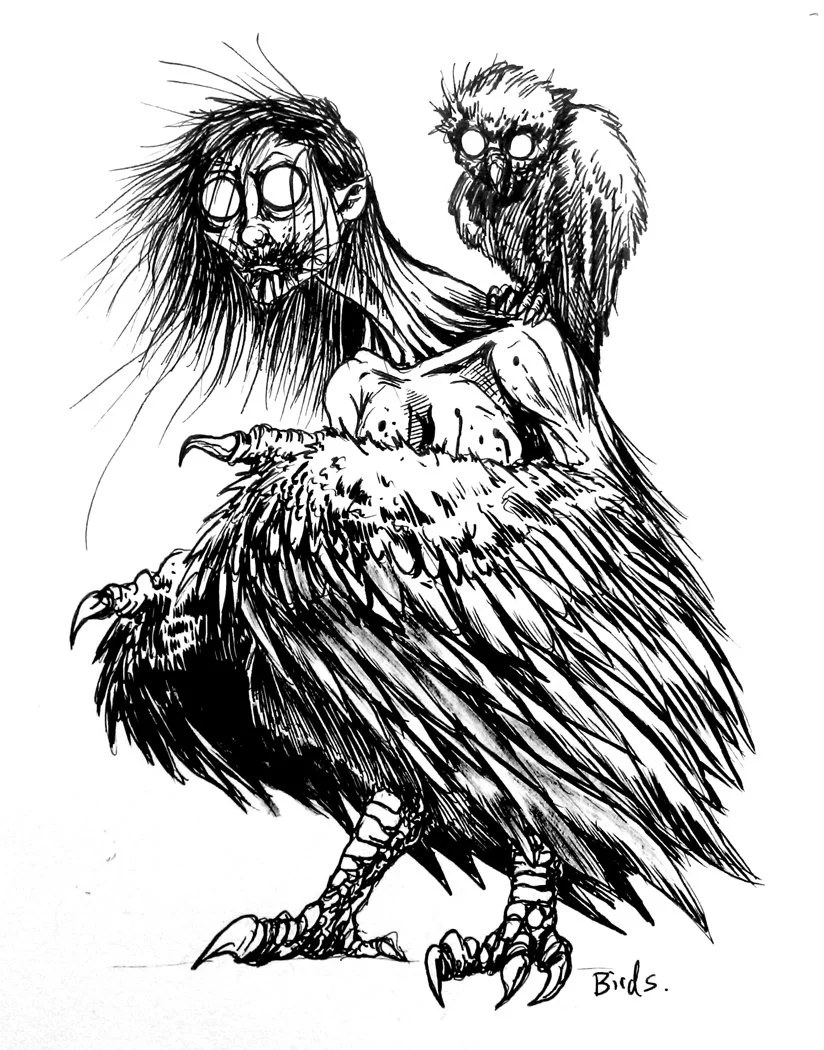 birdsWEB.jpg