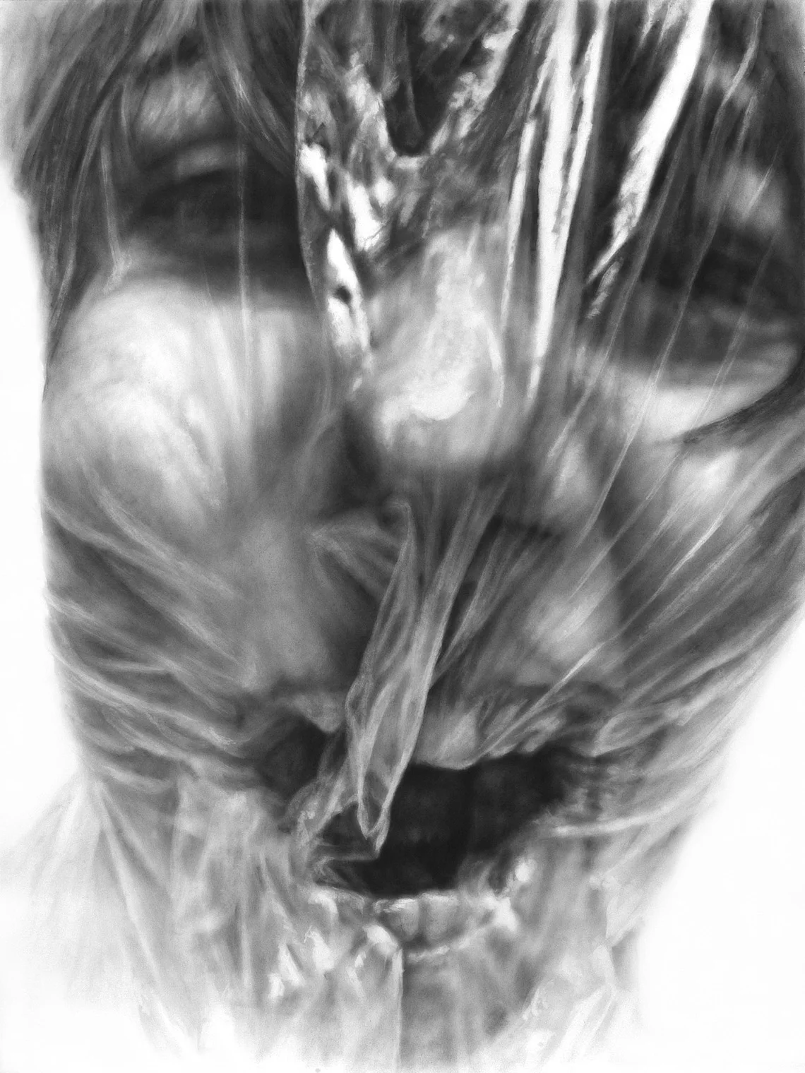 Vacuum #5, Graphite on paper, 50 x 38 inches