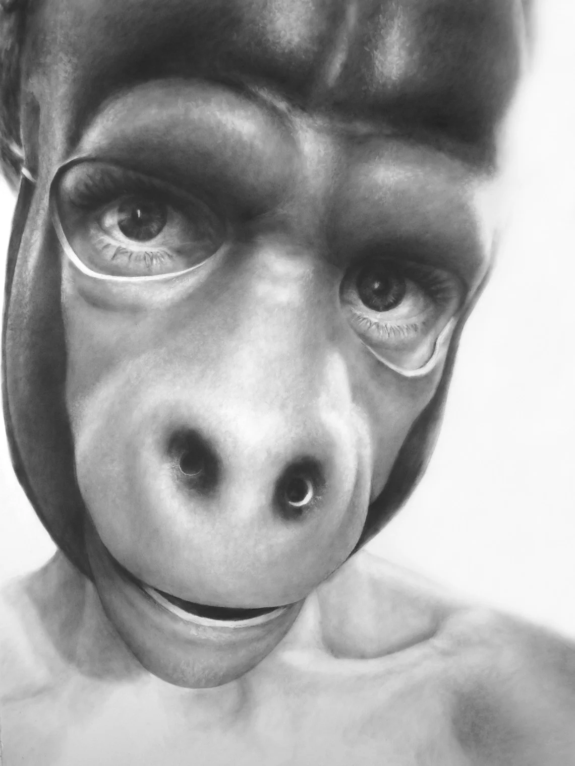 Self Portrait as Gorilla, Graphite on paper, 50 x 38 inches