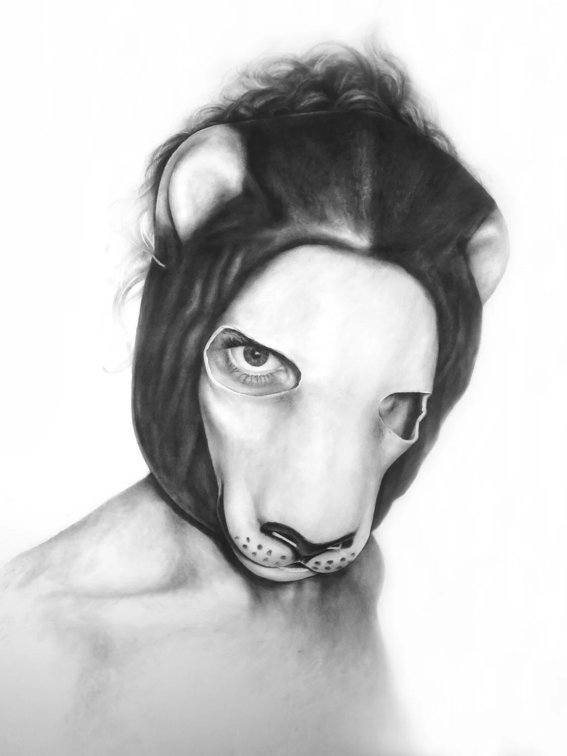Self Portrait as Lion, Graphite on paper, 50 x 38 inches