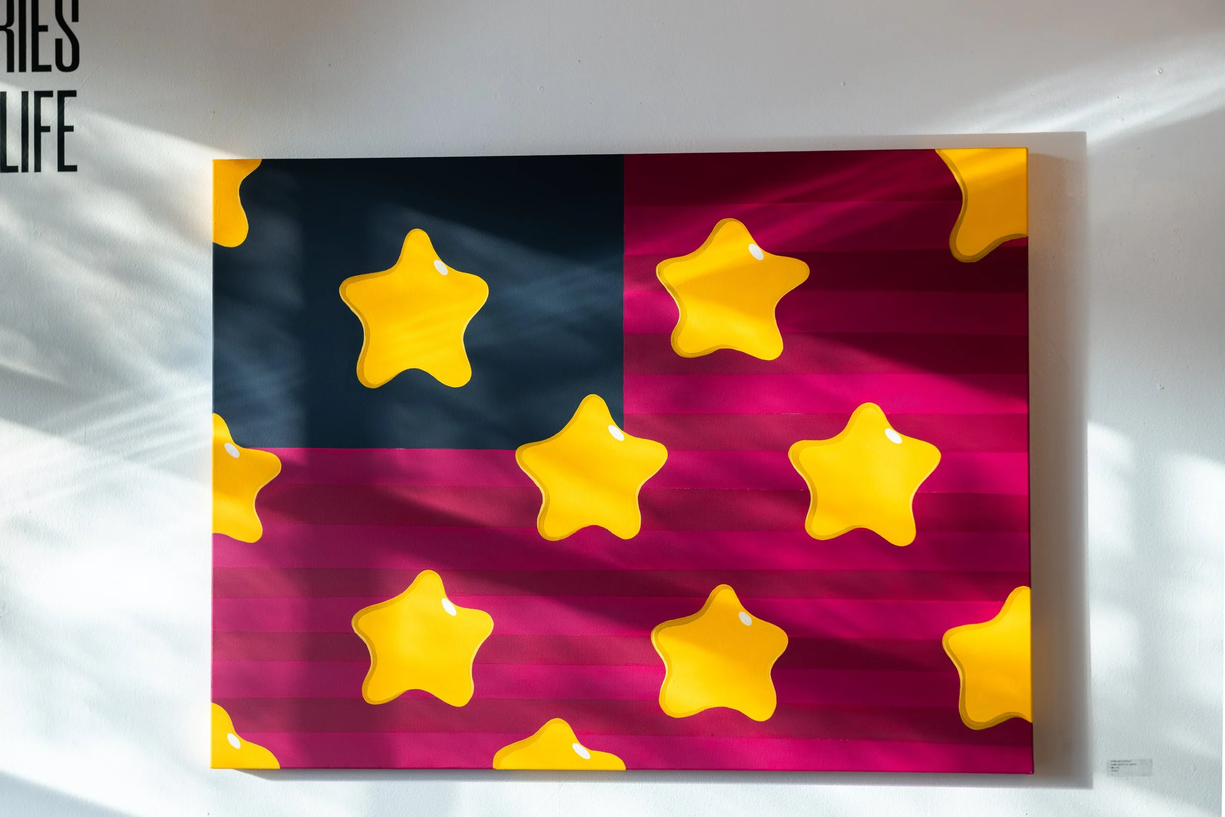 Stars n' Flag-7964.jpg