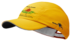 TDS+Hat-Yellow-removebg-preview.png