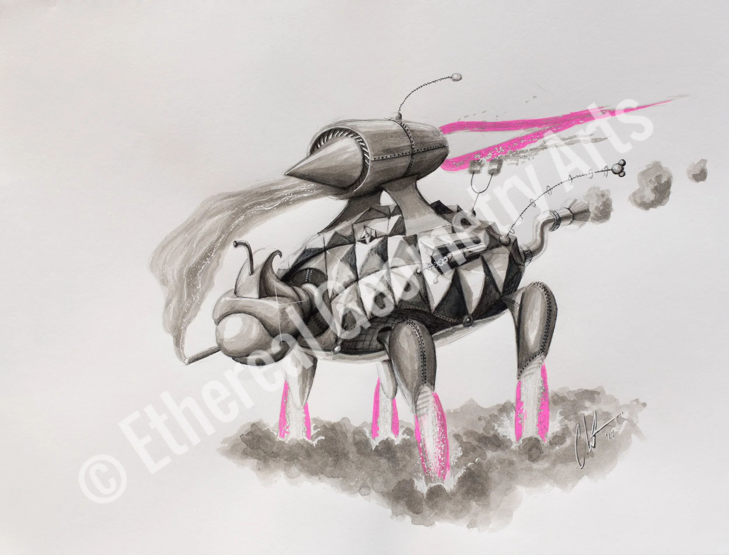 Tortellini the Terror Tortoise