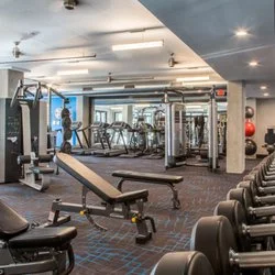 THE ARNOLD