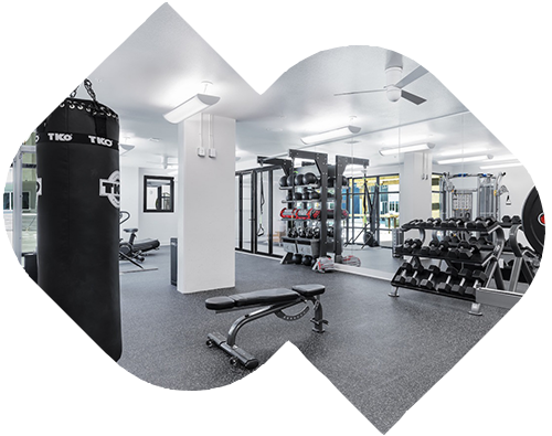 Gym Studios Austin
