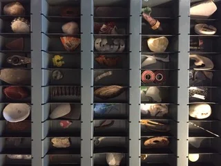 Charity Appell McNabb 2.jpeg