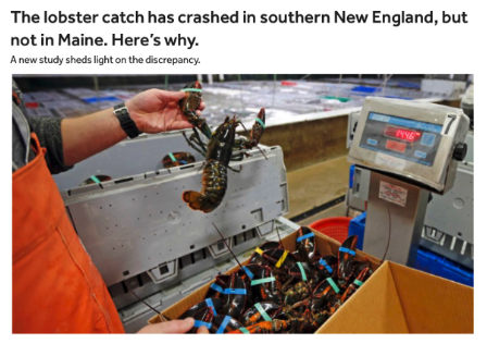 (Boston.com story, https://www.boston.com/news/local-news/2018/01/22/lobster-catch-new-england )