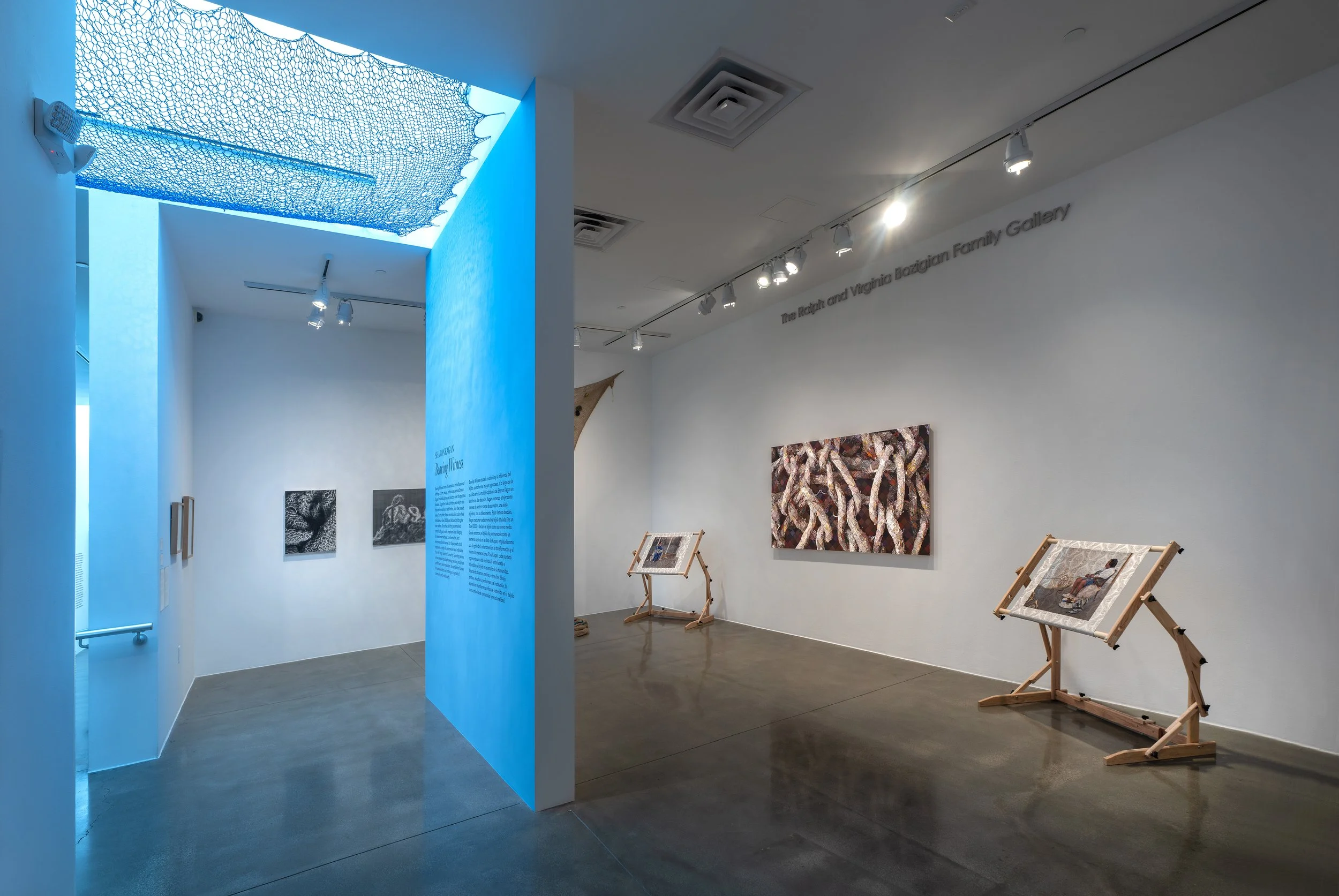 Bearing Witness, MOAH, 2026