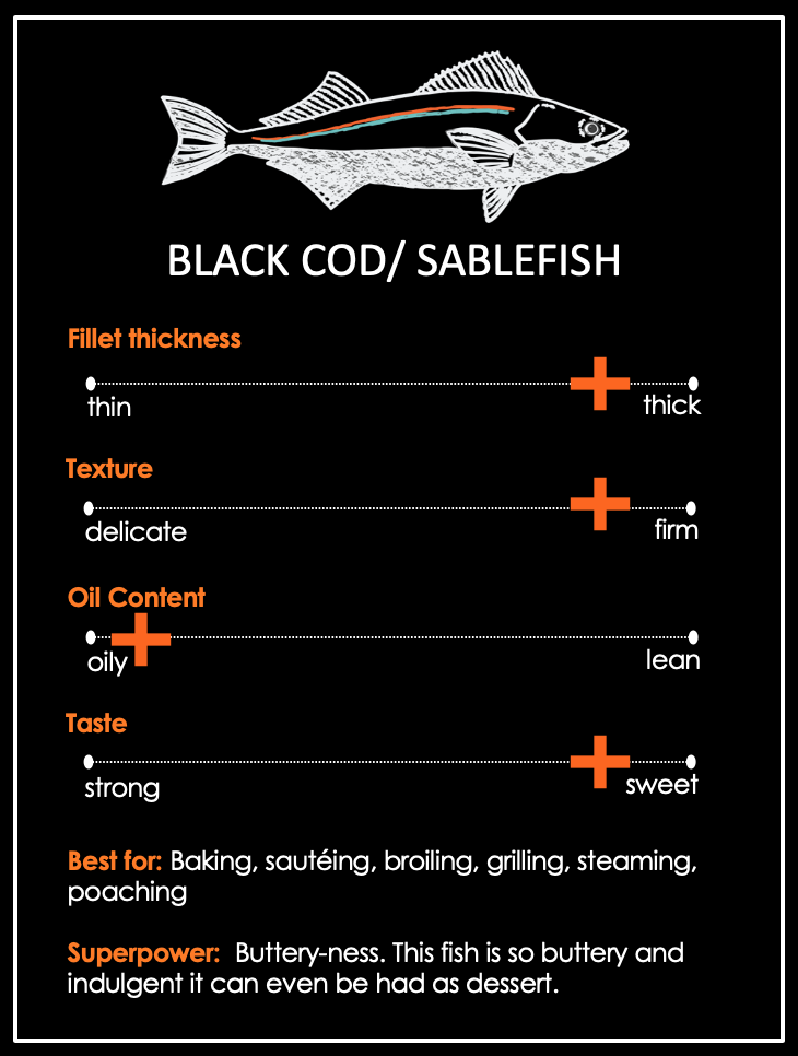 Groundfish Info Positively Groundfish