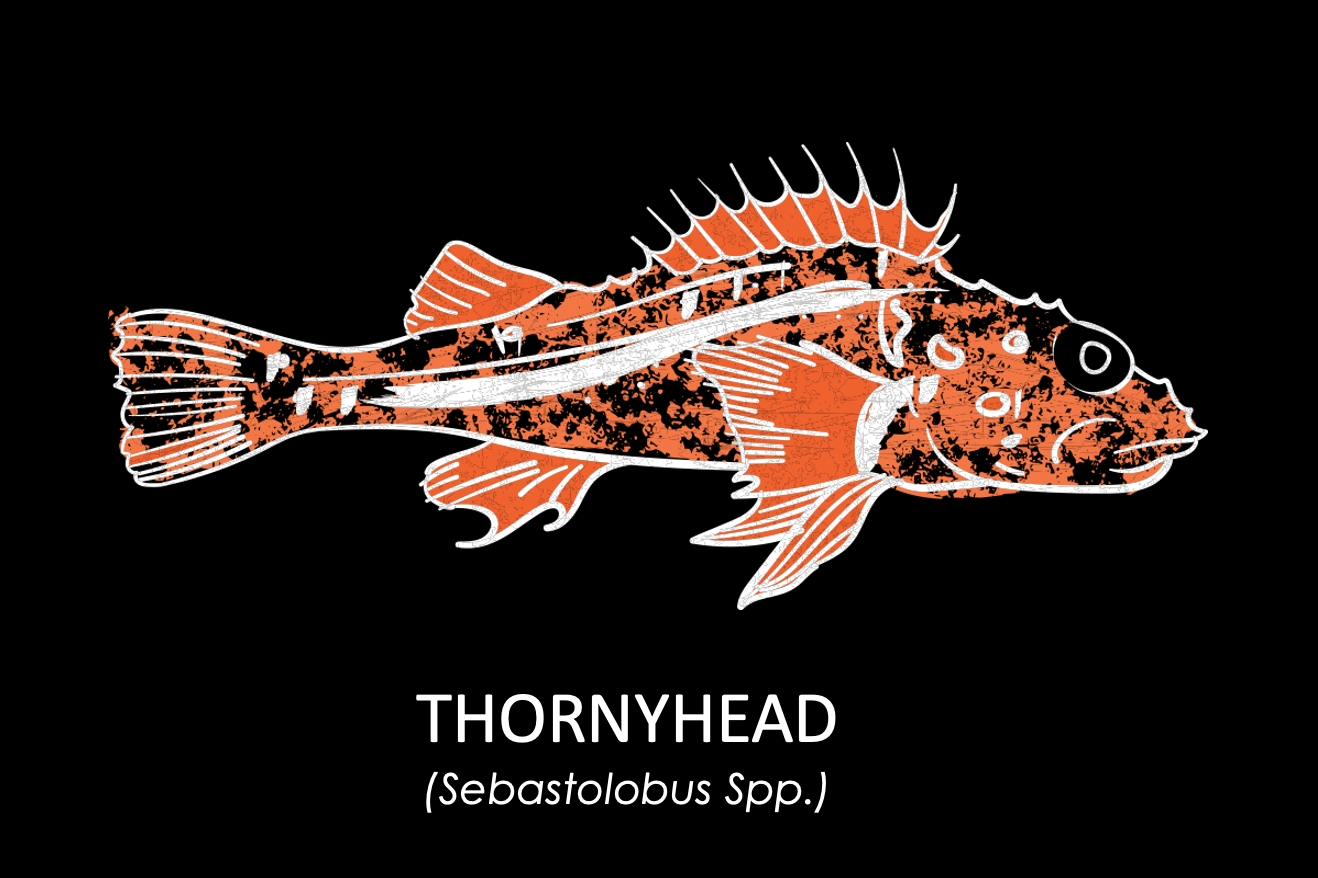 Groundfish Info Positively Groundfish