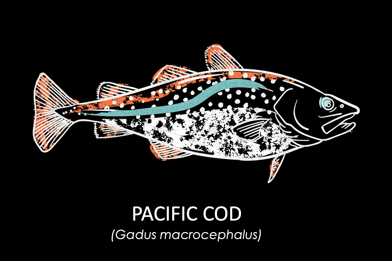 Groundfish Info Positively Groundfish