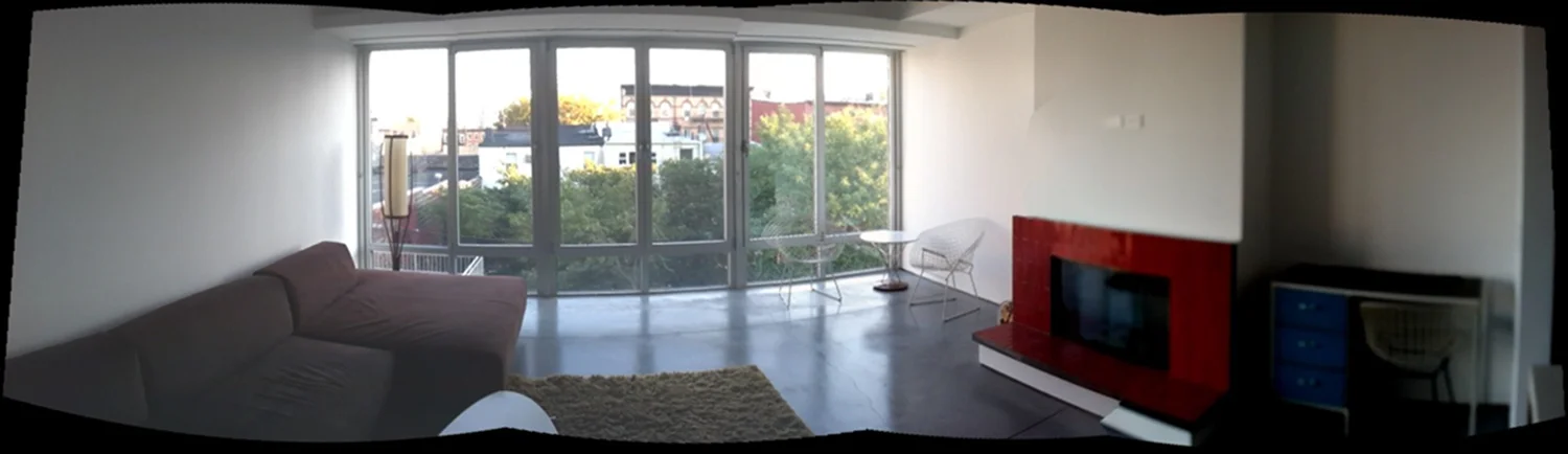 AA_CarrollSt_LivingRoom_01.jpg