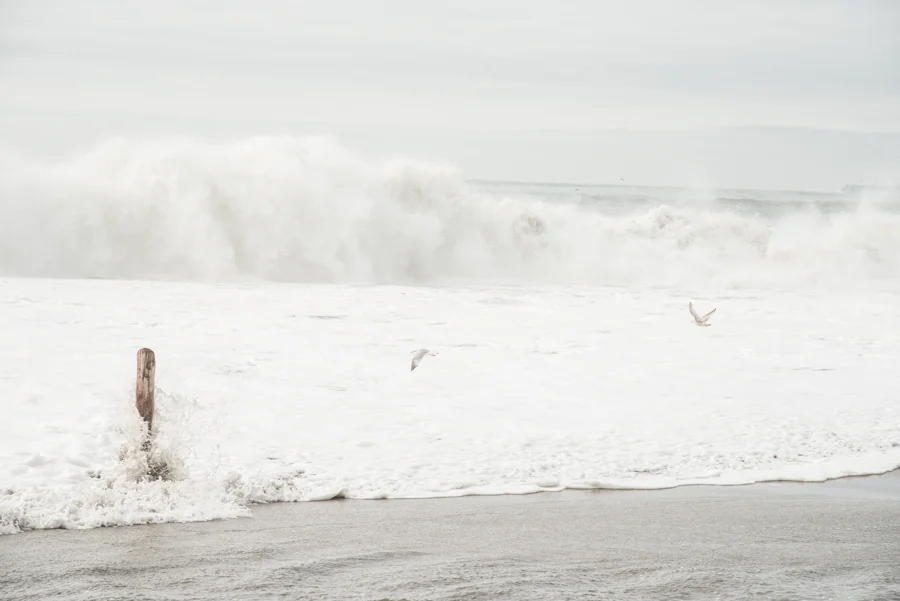 Ocean2018-7.jpg