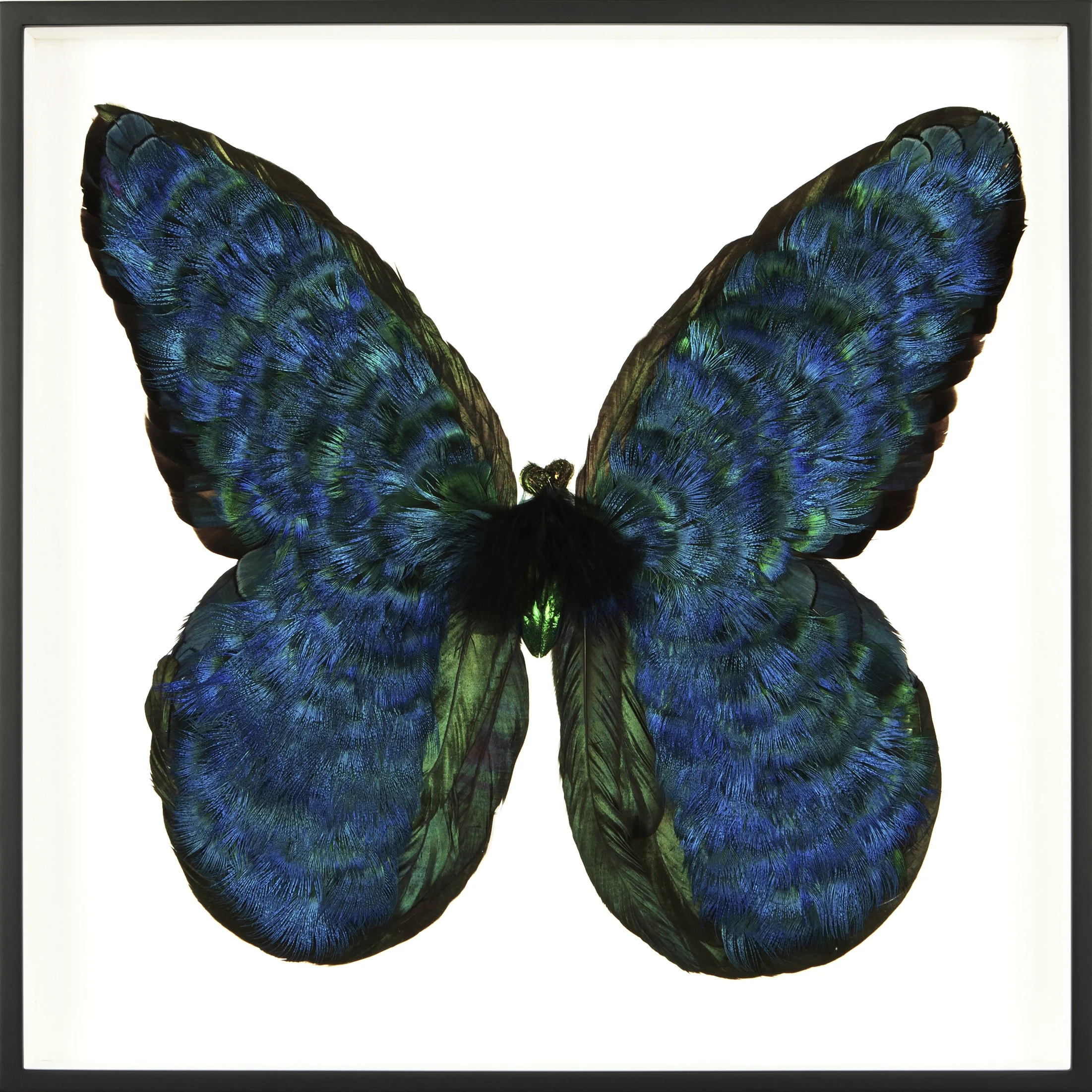 Metamorphosis II (Copy)