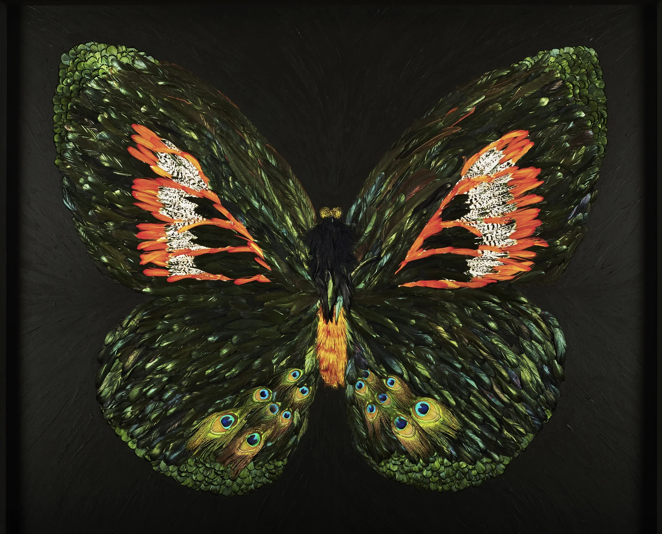 Metamorphosis XII (Copy)